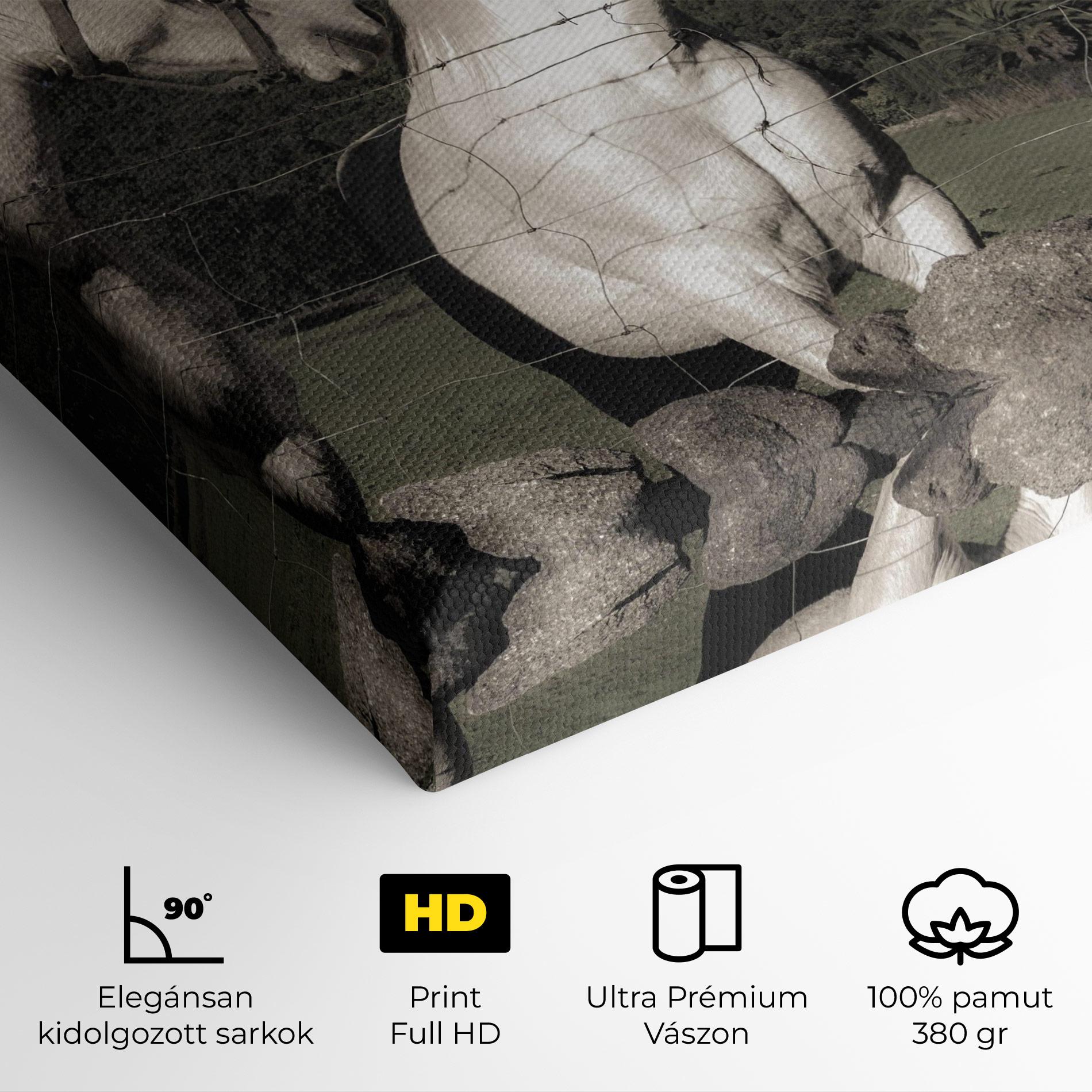 Vászonkép White Grey Horse mockup 4