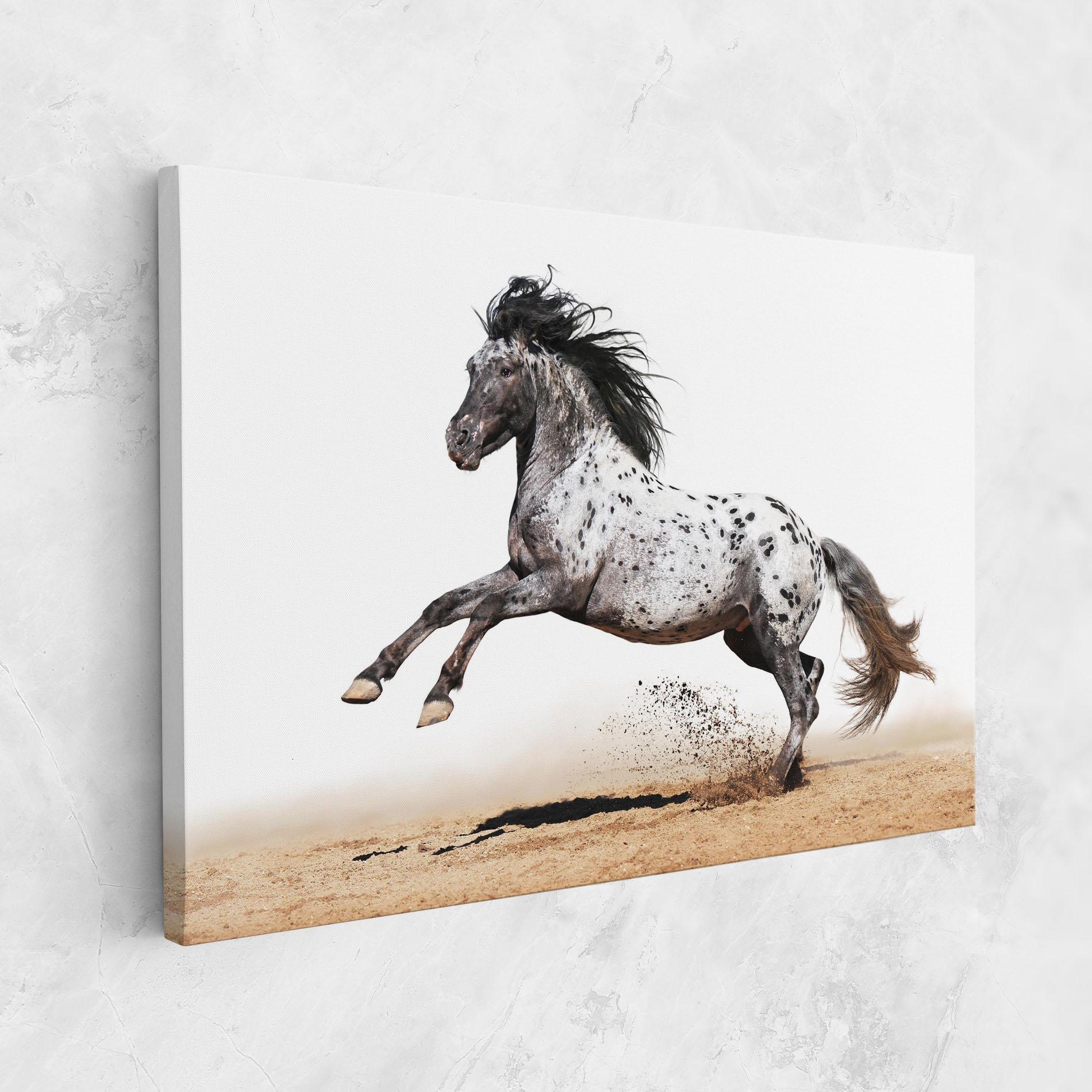 Vászonkép Appaloosa Horse Running mockup 1