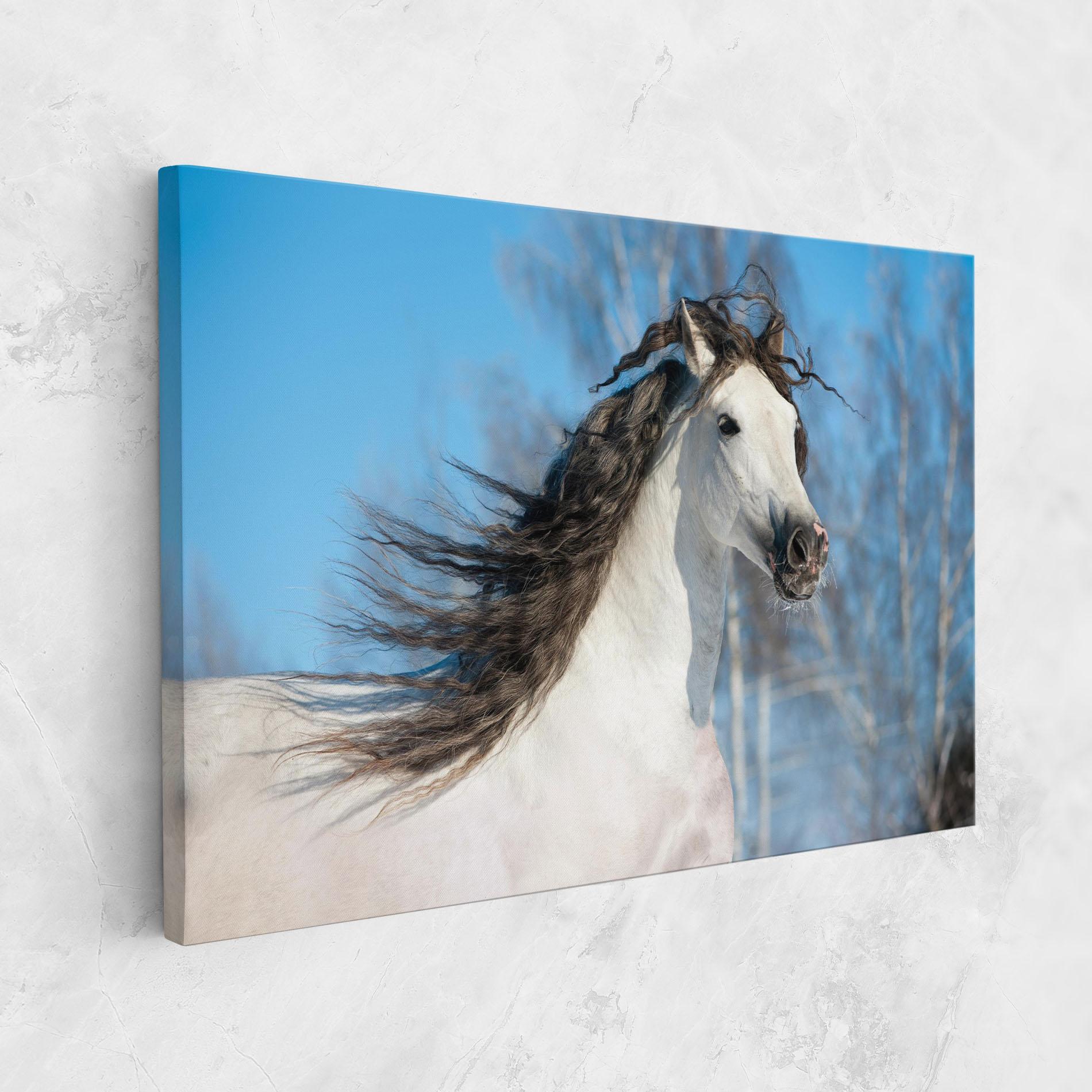 Vászonkép Wild Black Hair Horse mockup 1
