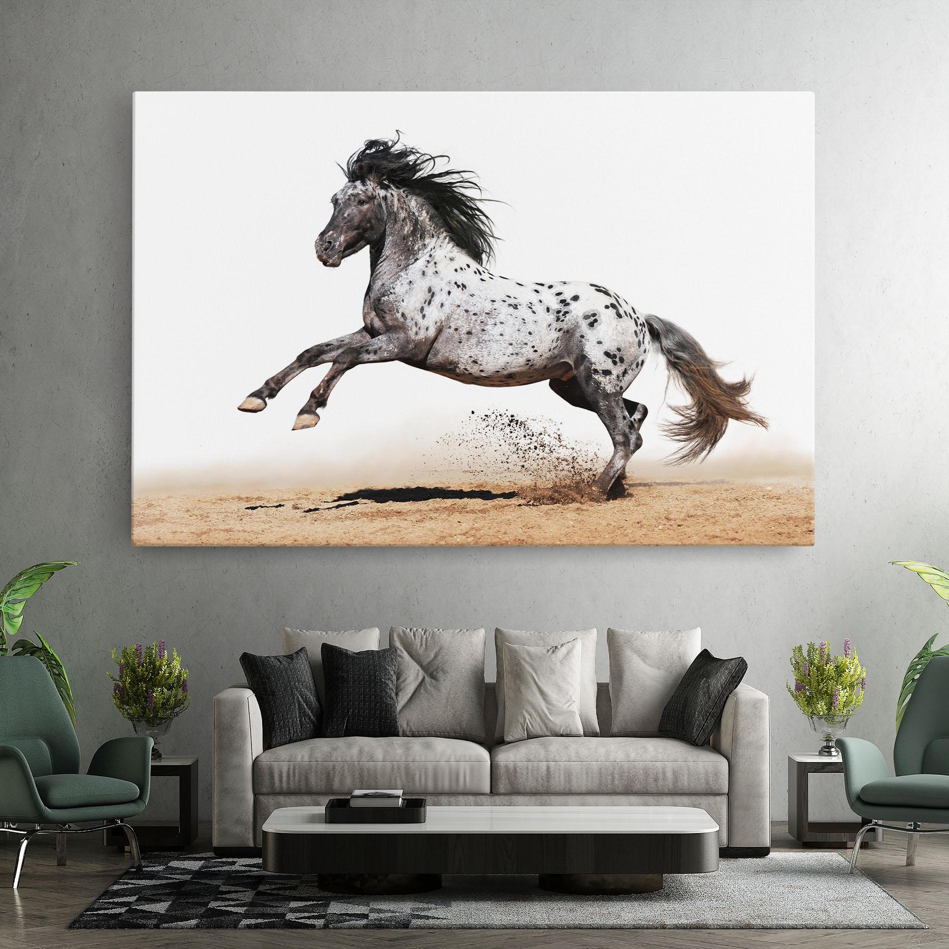 Vászonkép Appaloosa Horse Running mockup 7