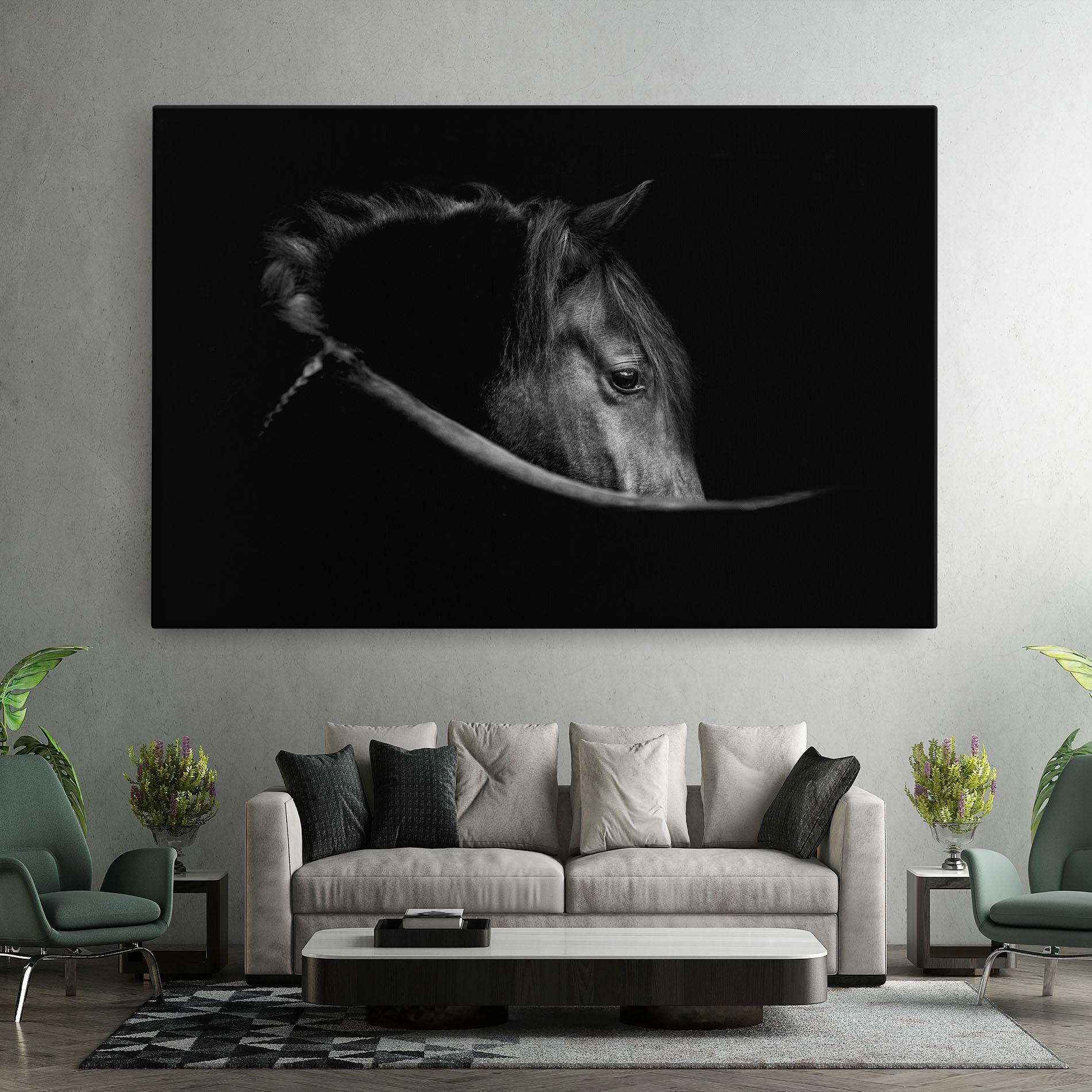 Vászonkép Black Horse Looking mockup 7