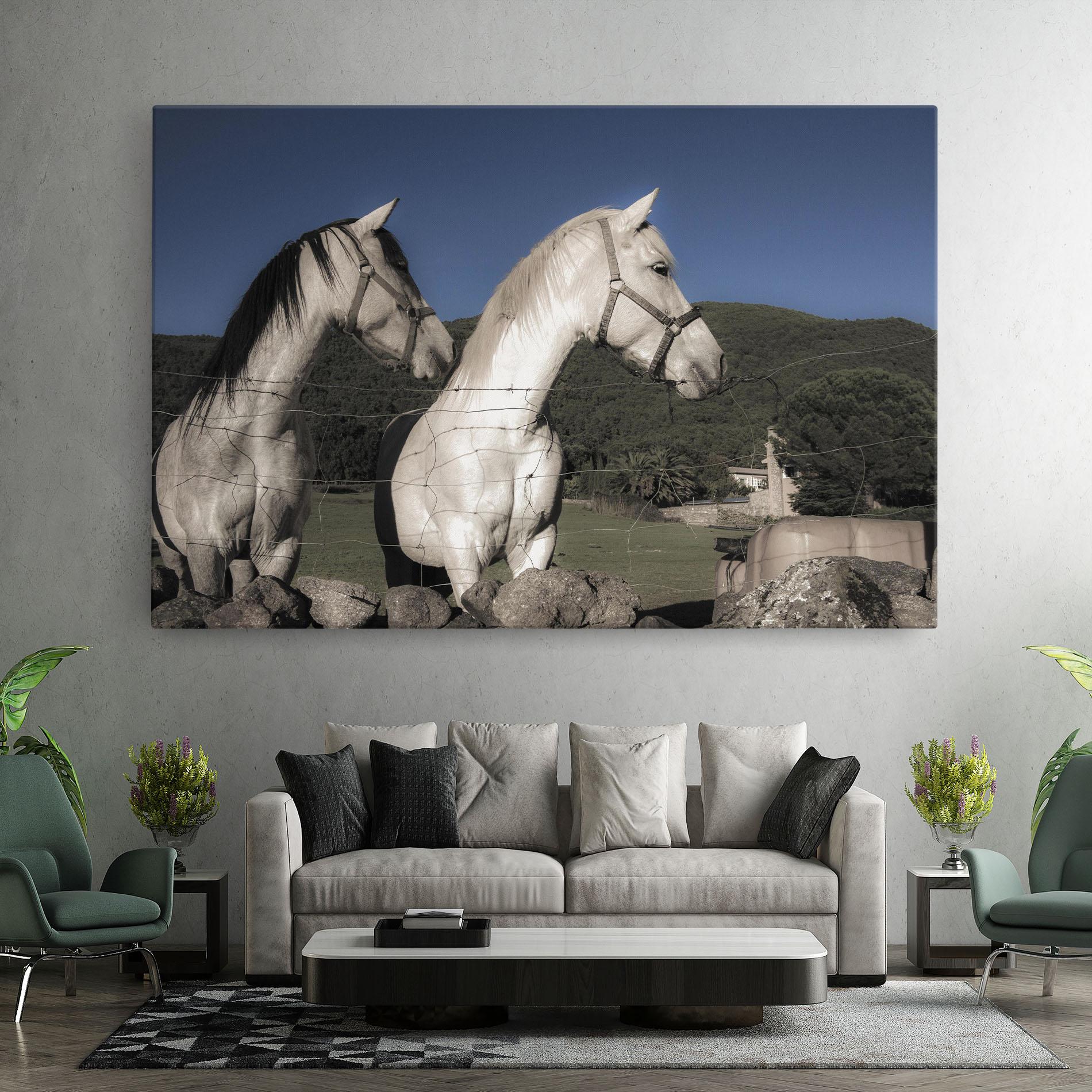 Vászonkép White Grey Horse mockup 7