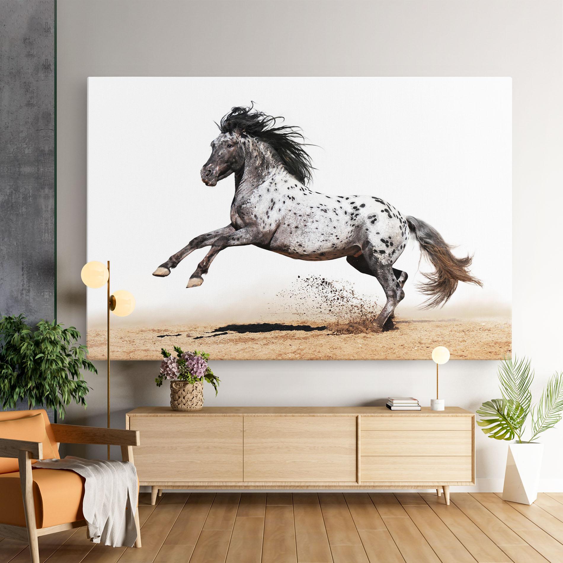 Vászonkép Appaloosa Horse Running mockup 9