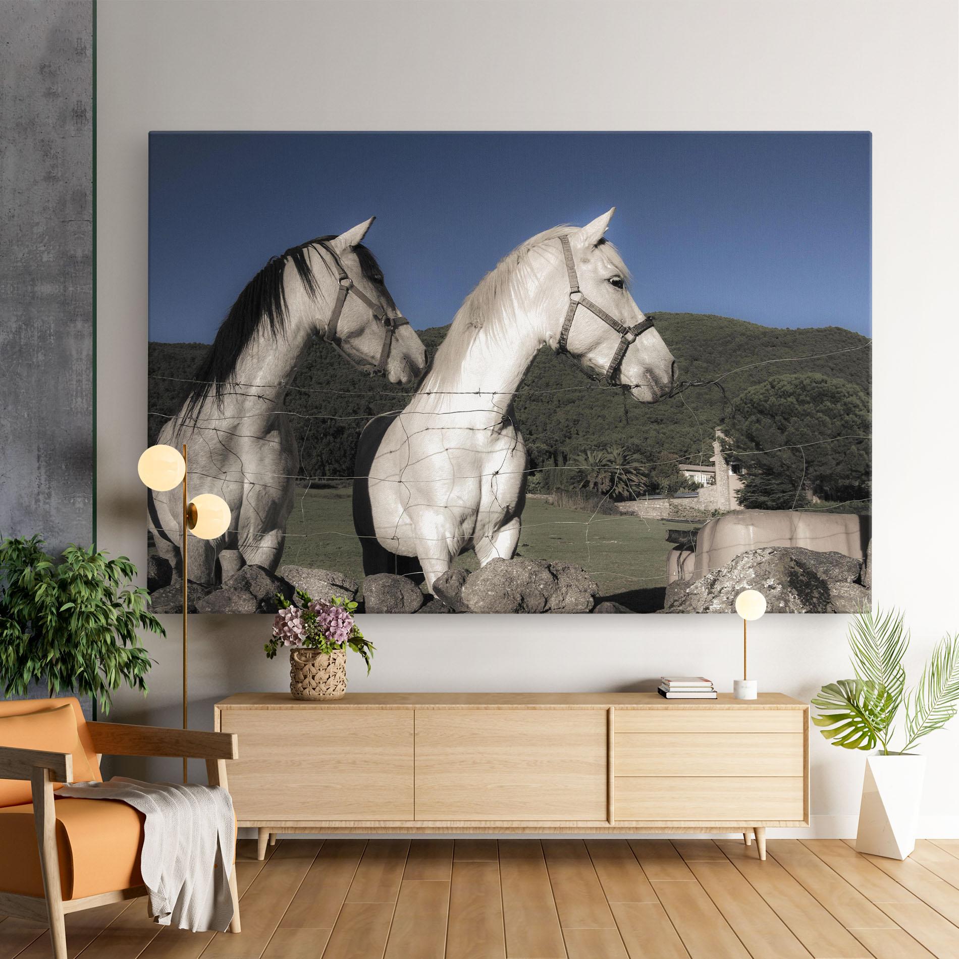 Vászonkép White Grey Horse mockup 9