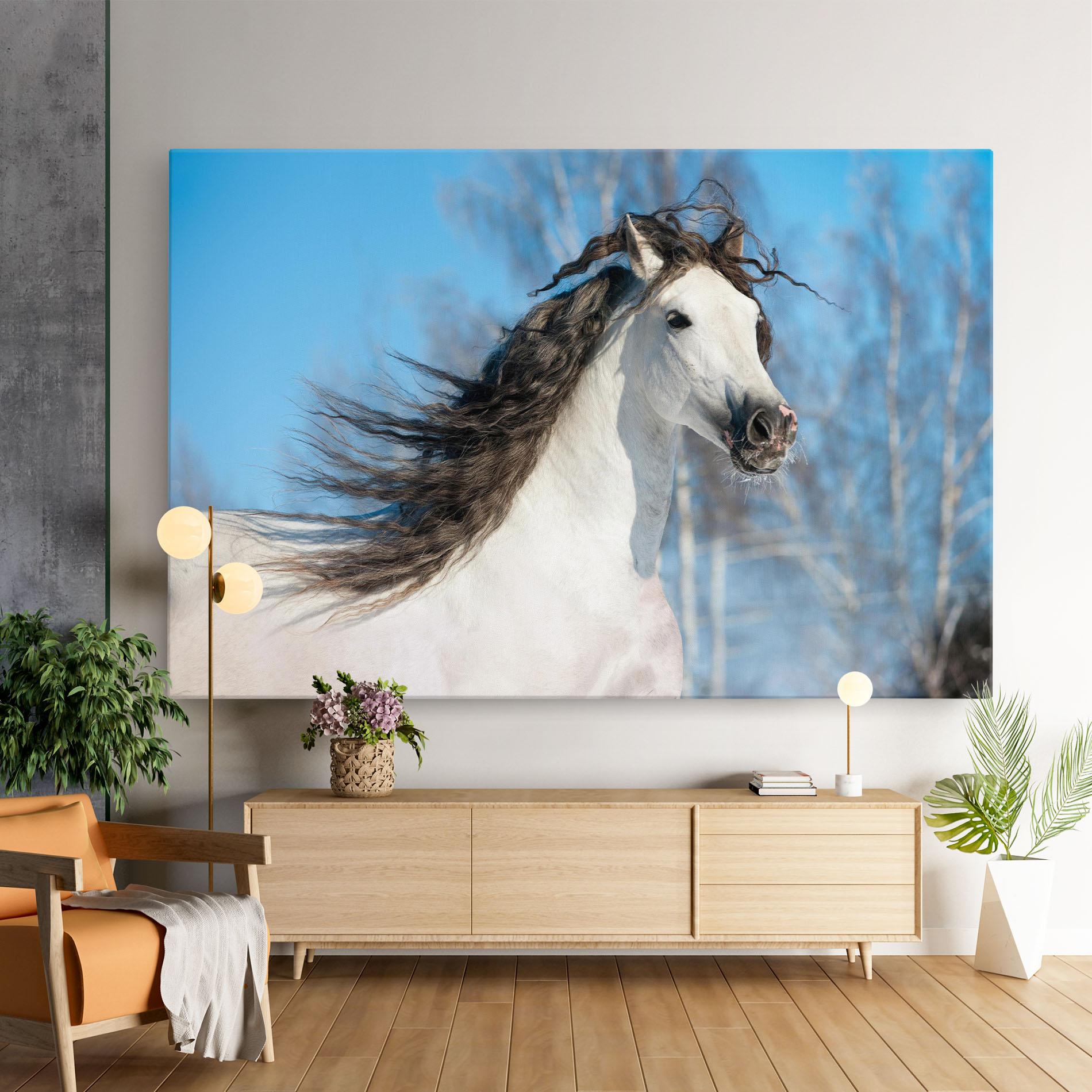 Vászonkép Wild Black Hair Horse mockup 9