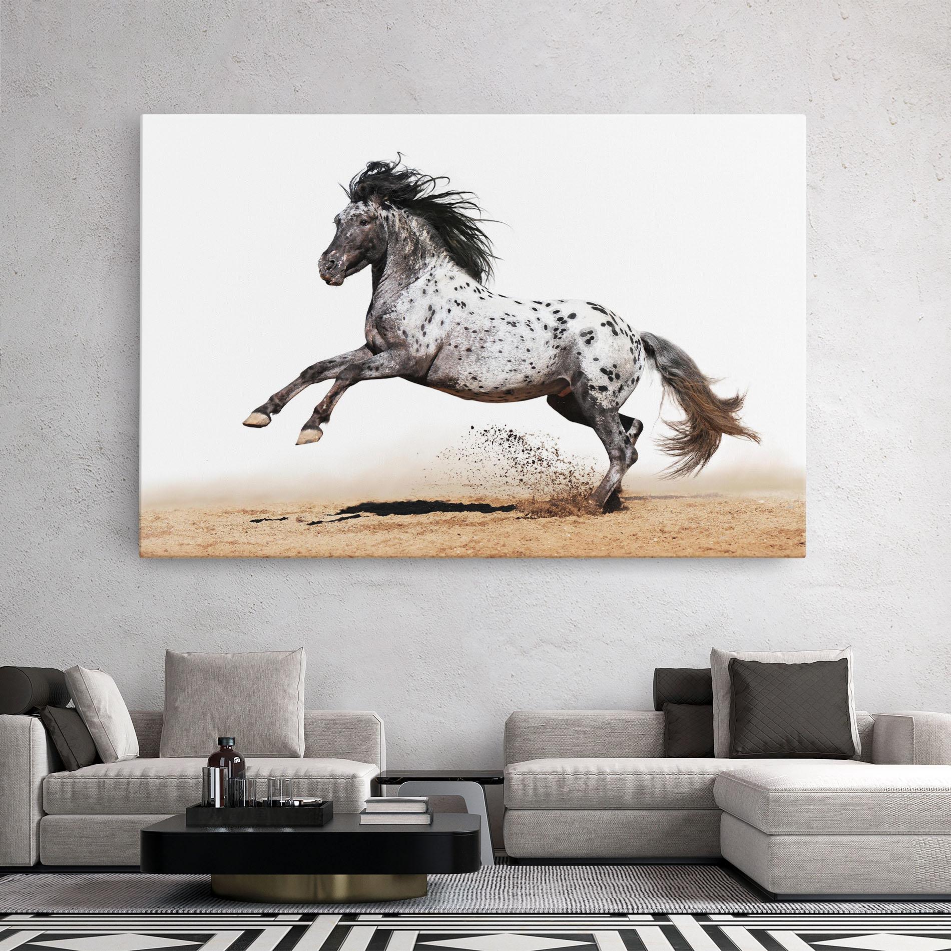 Vászonkép Appaloosa Horse Running mockup 2