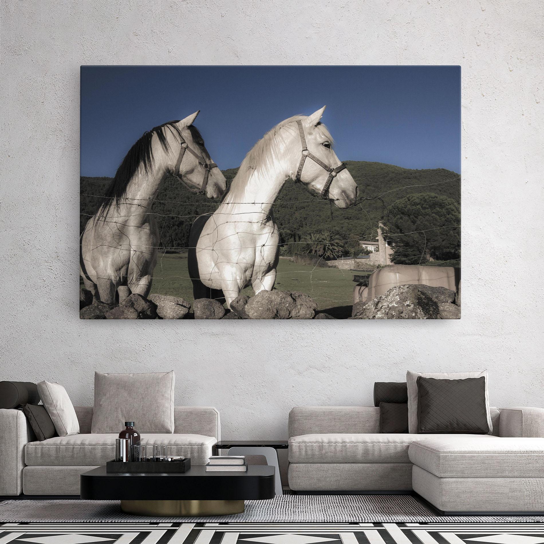 Vászonkép White Grey Horse mockup 2