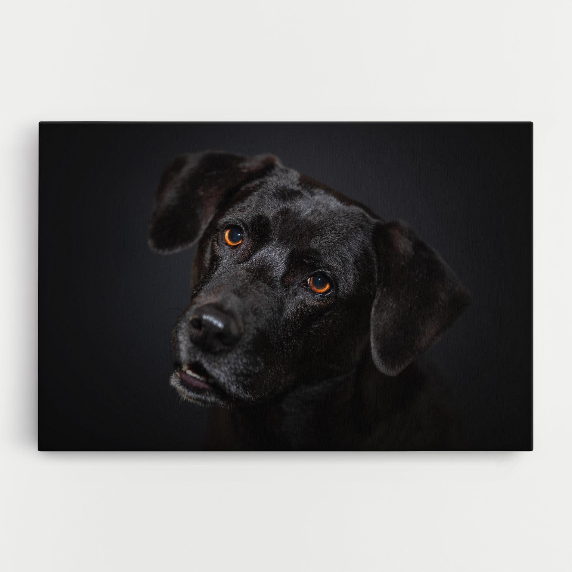 Vászonkép Black Dog Portrait mockup 0