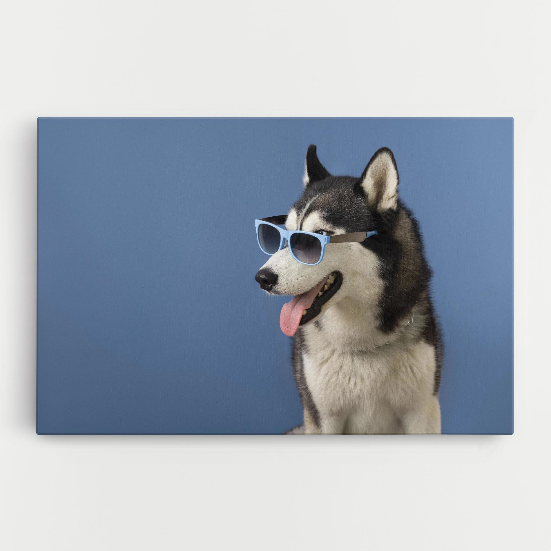 Vászonkép Blue Glasses Dog mockup 0