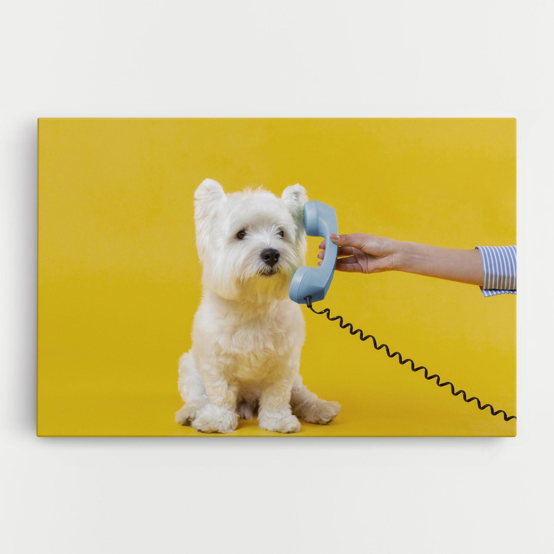 Vászonkép Cute Little Dog mockup 0