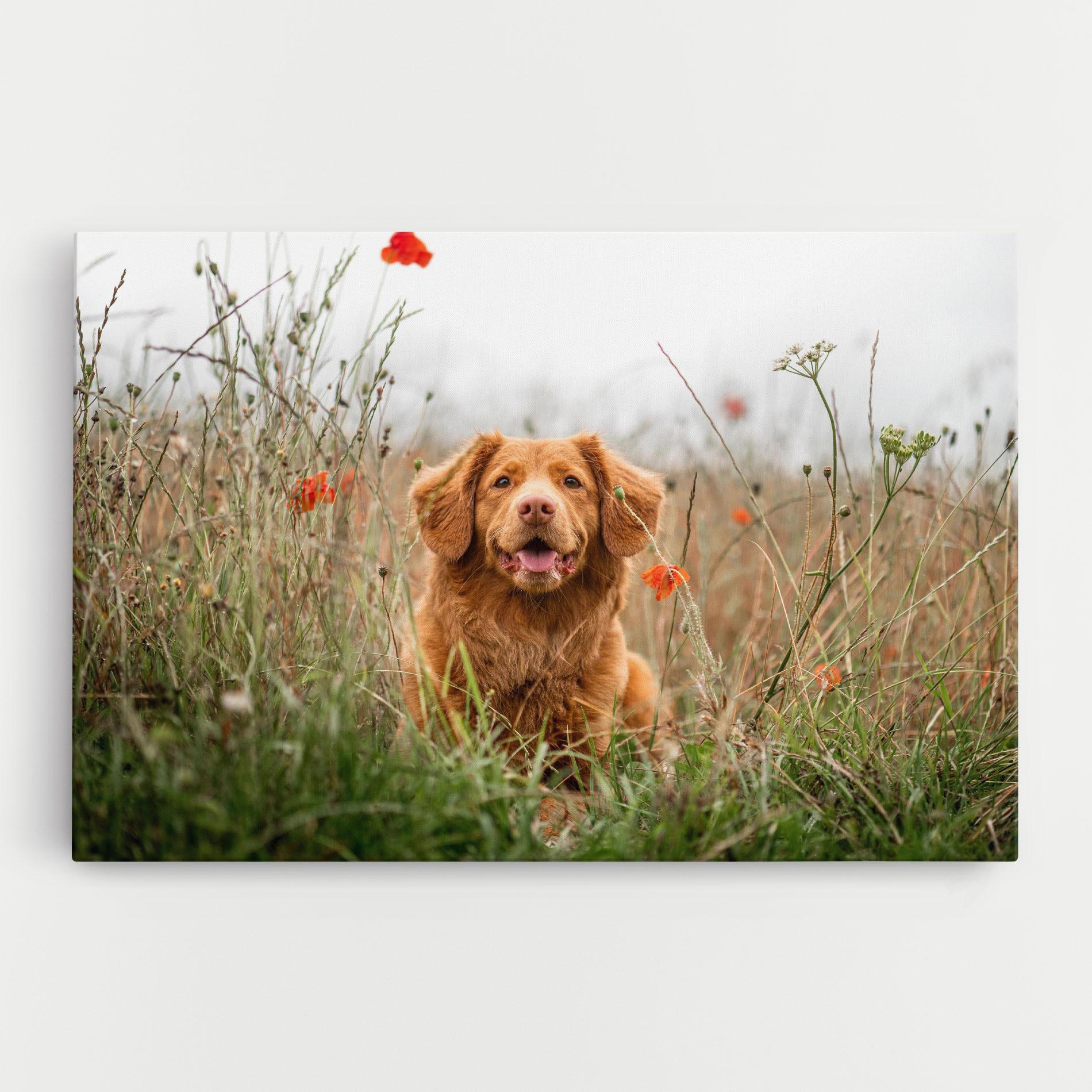 Vászonkép Red Flowers Dog mockup 0