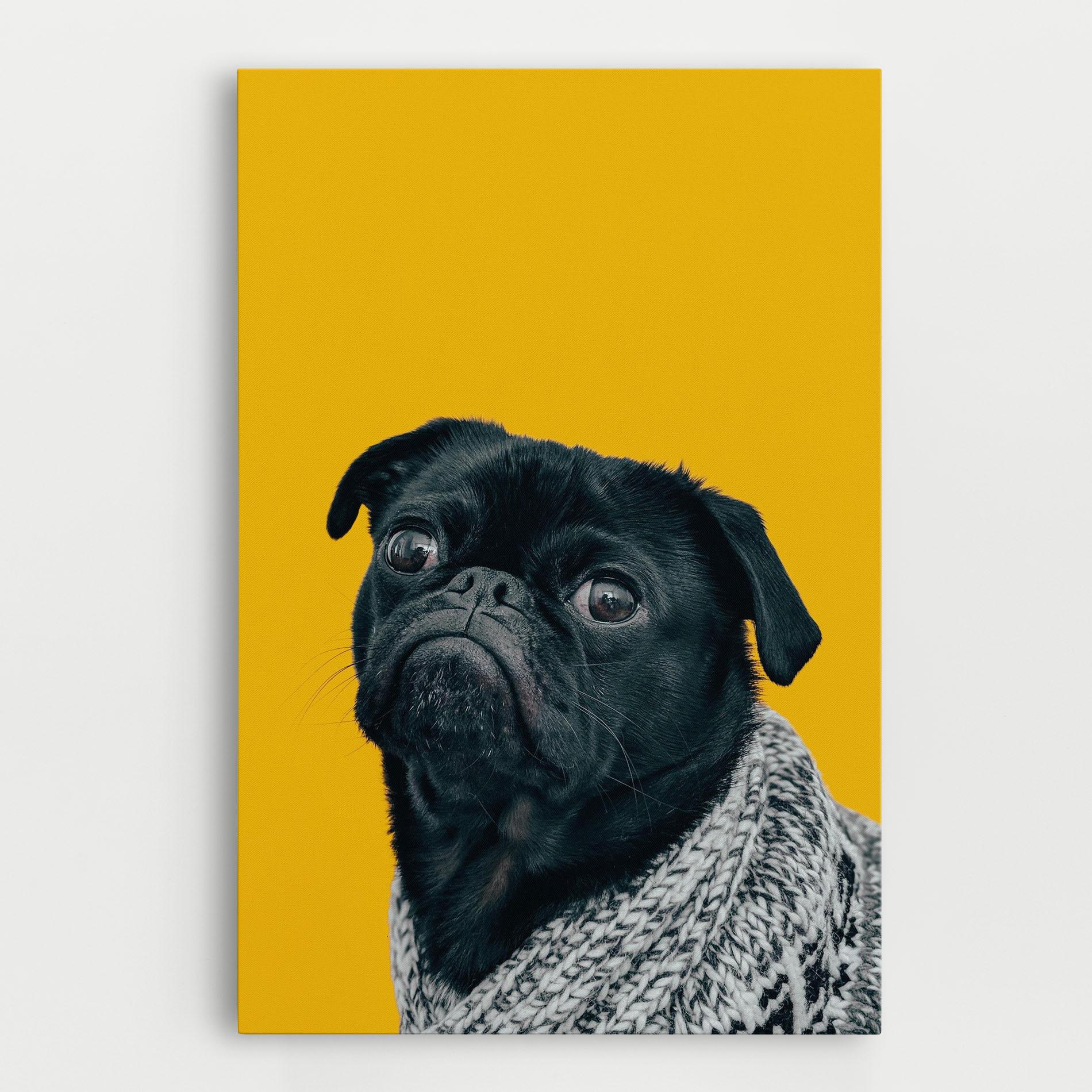 Vászonkép Black Pug mockup 0