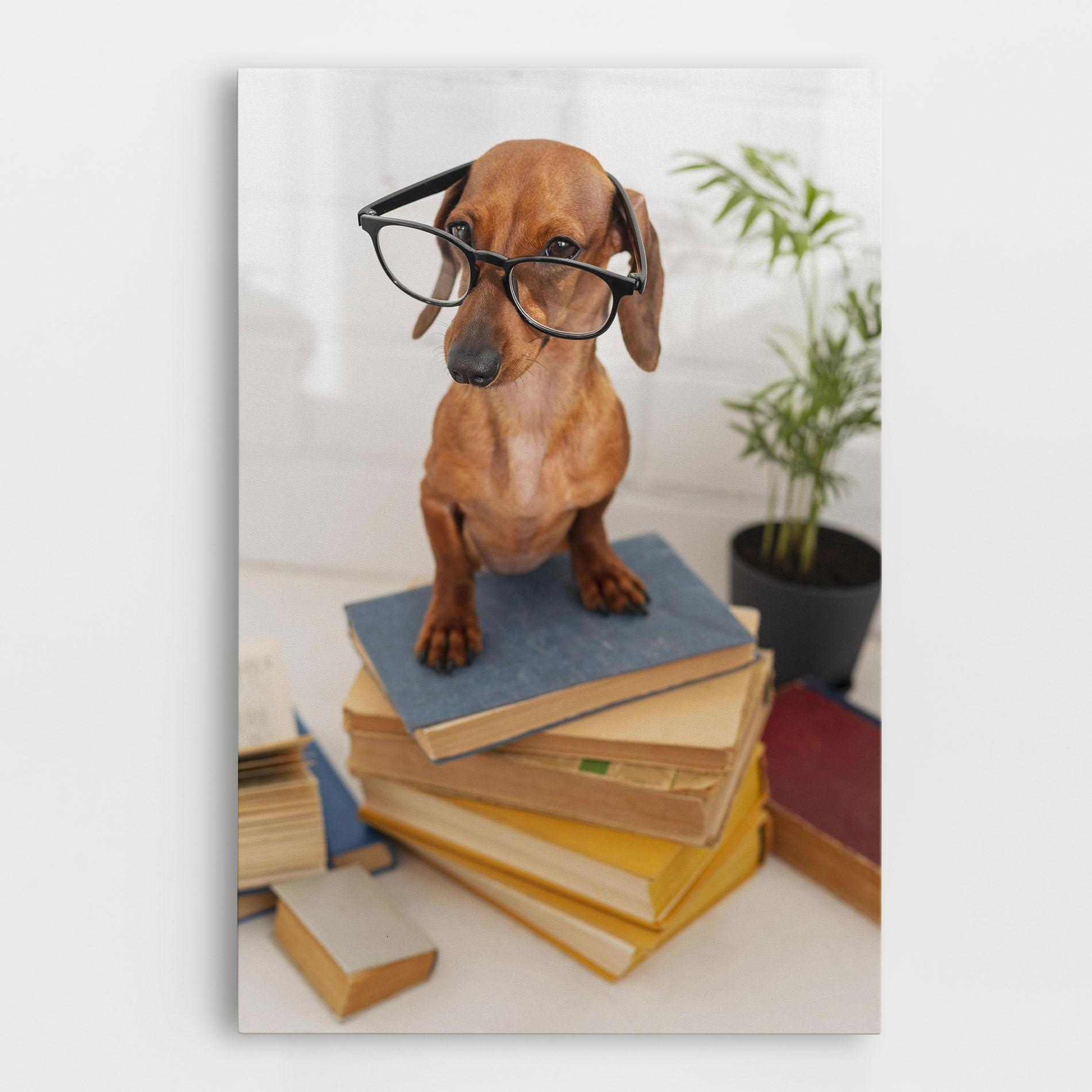 Vászonkép Books Cute Dog mockup 0