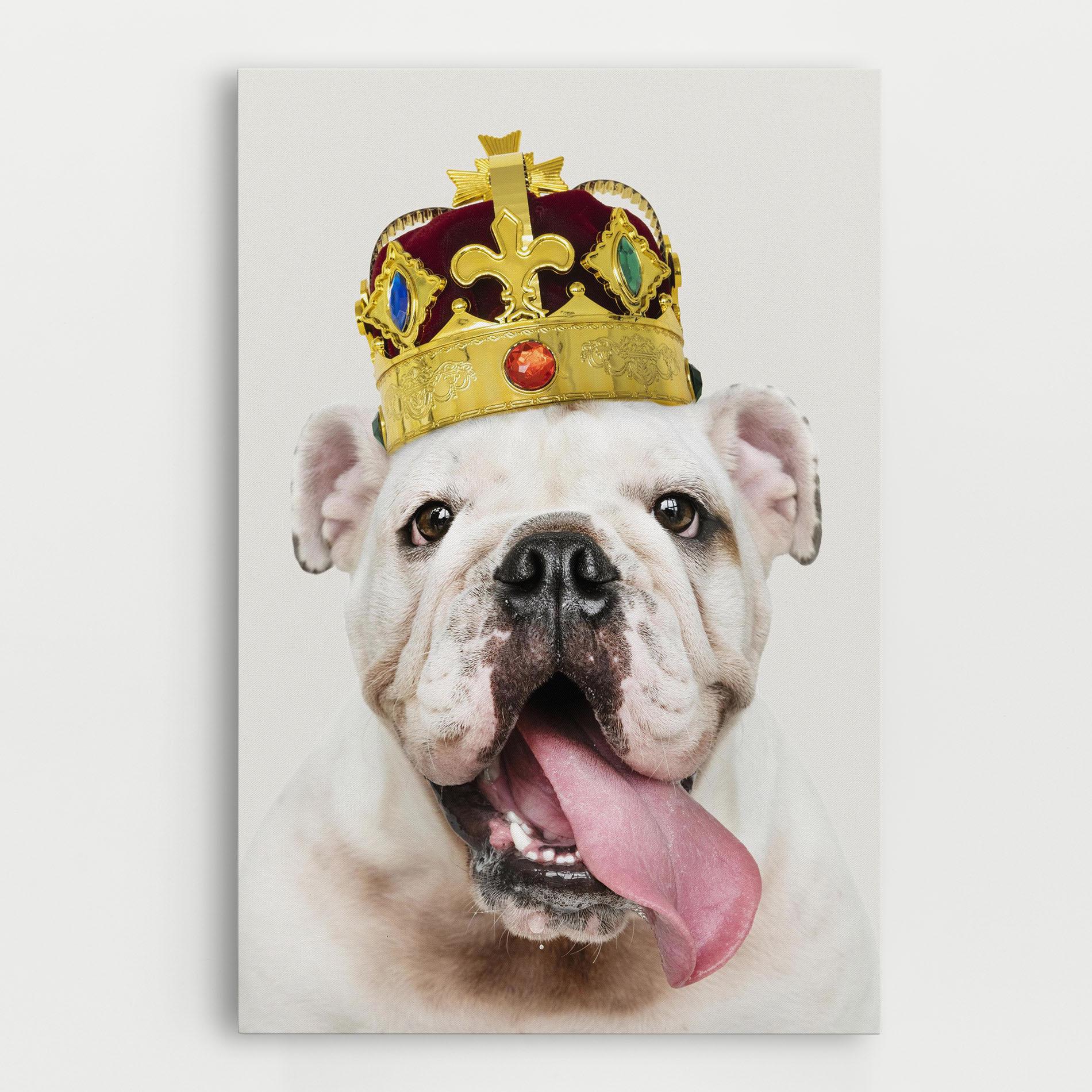 Vászonkép Bulldog Wearing Crown mockup 0