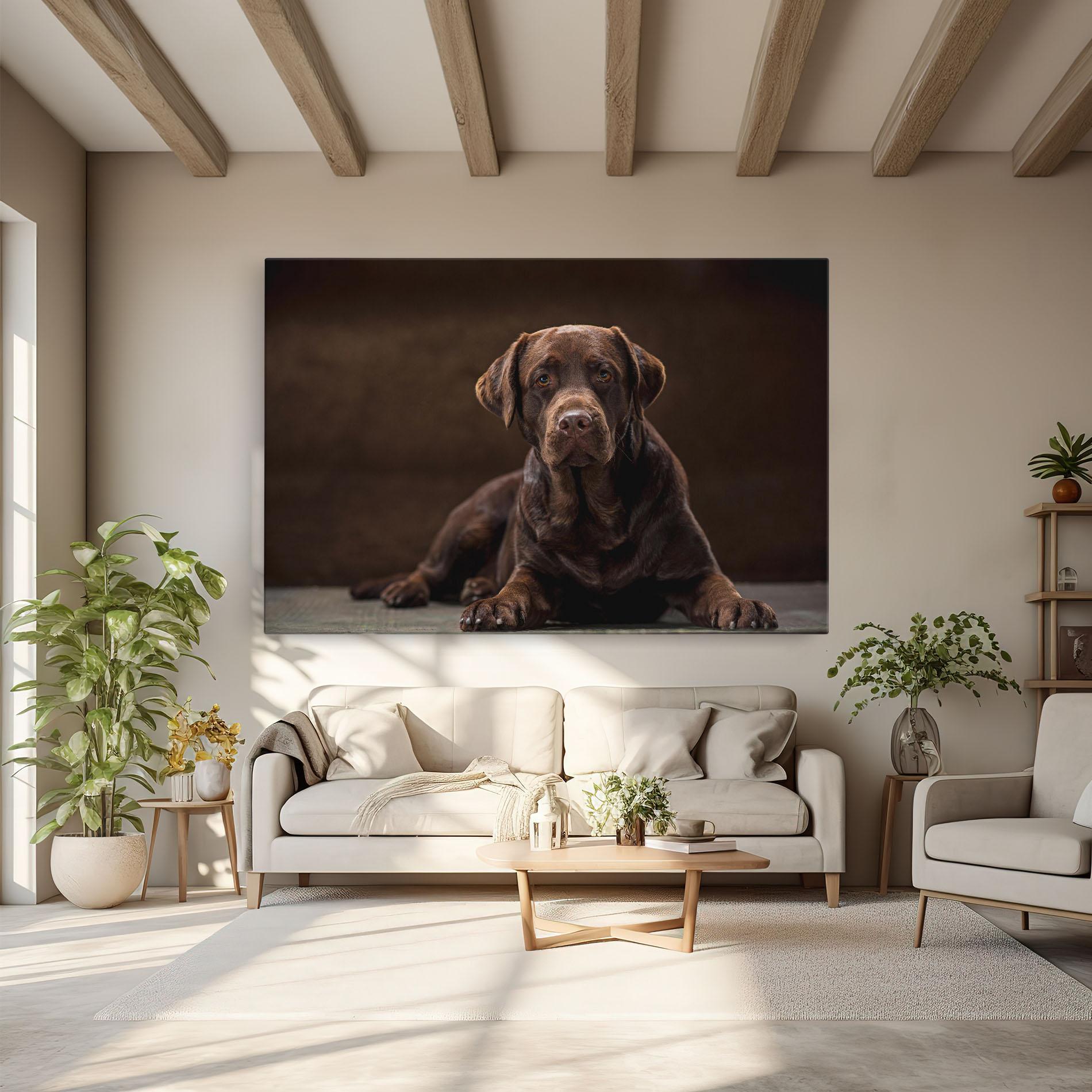 Vászonkép Cute Brown Labrador mockup 6