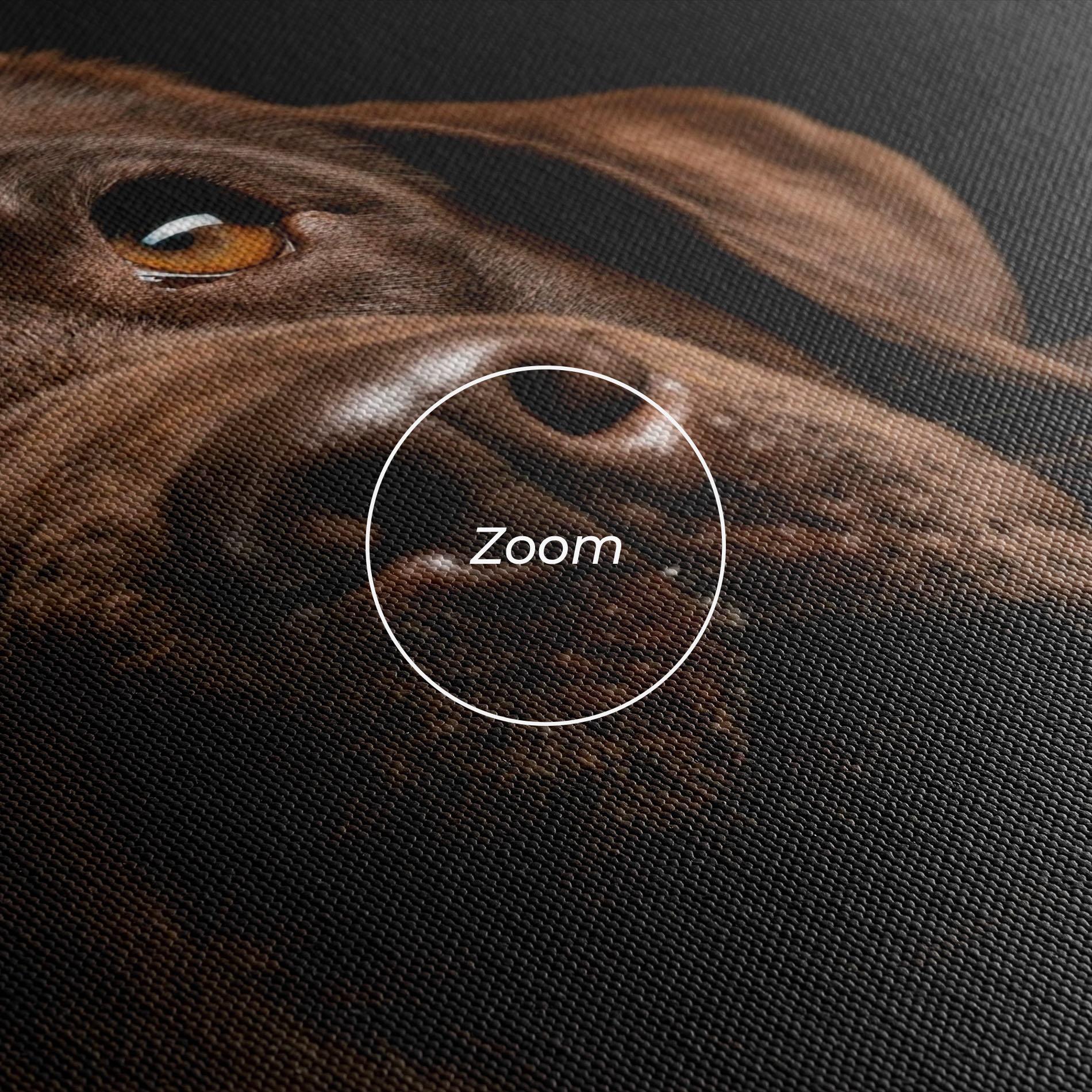 Vászonkép Brown Labrador mockup 3
