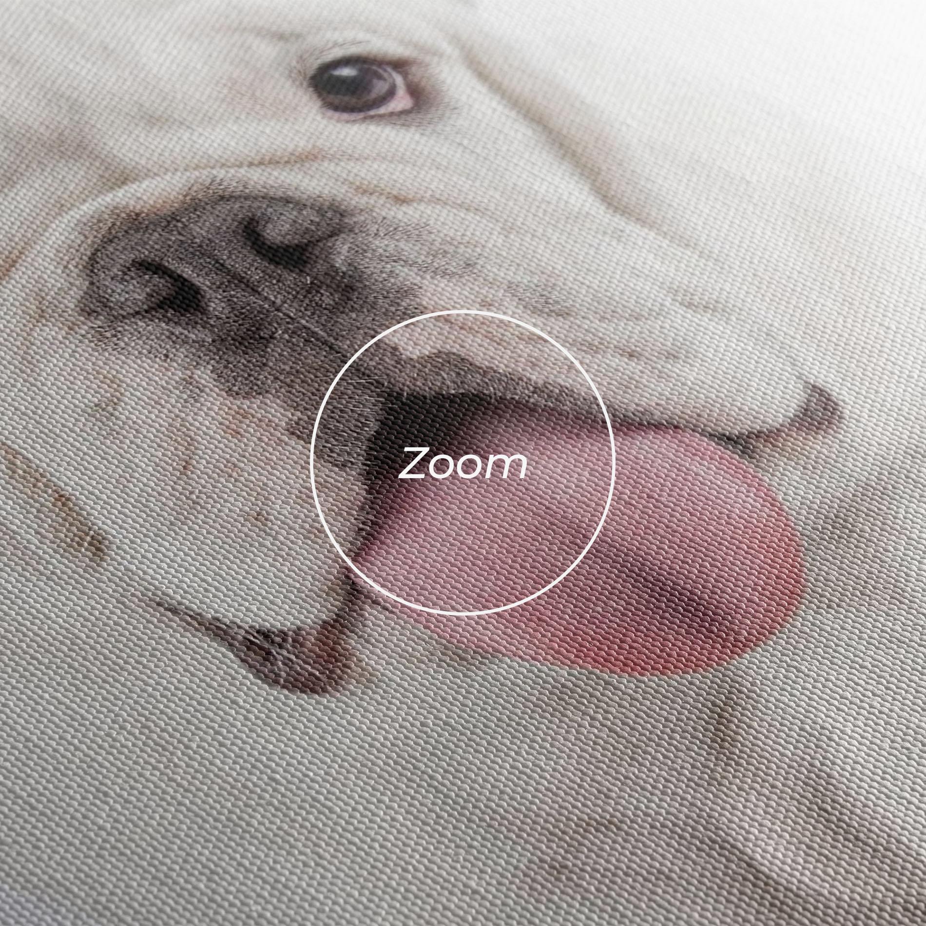 Vászonkép English Bulldog mockup 3
