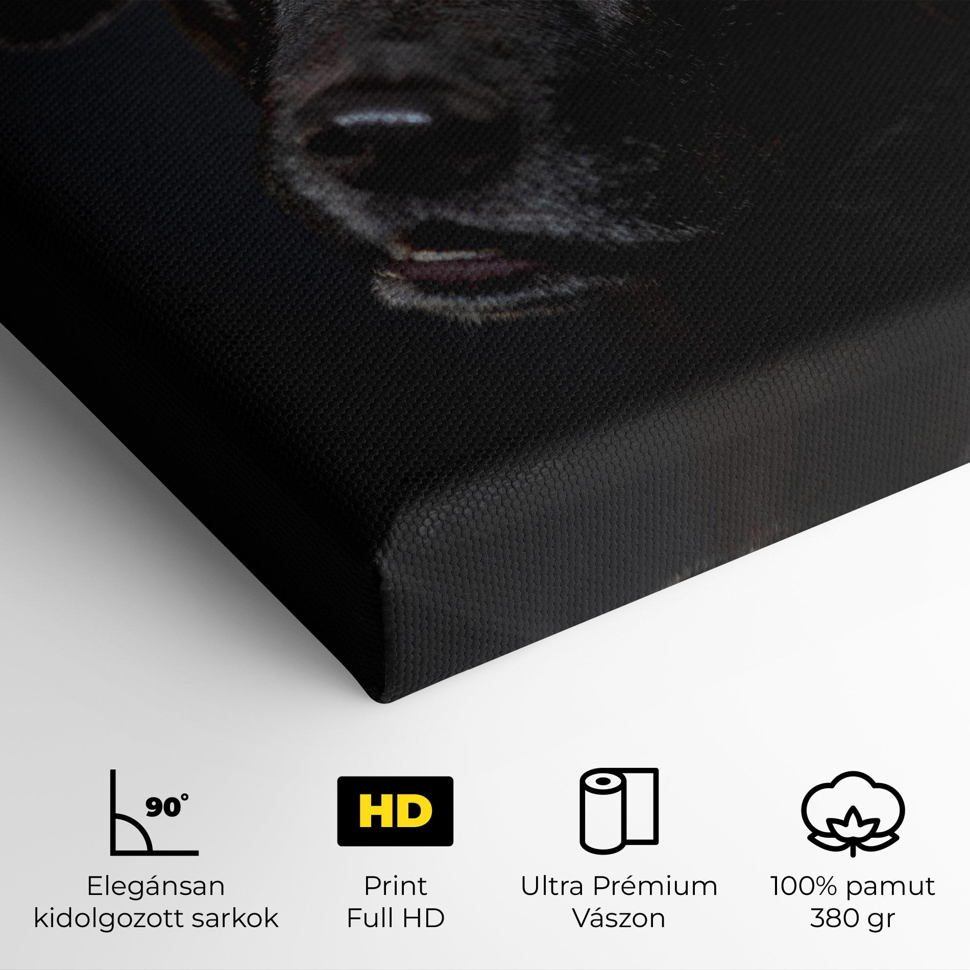 Vászonkép Black Dog Portrait mockup 4