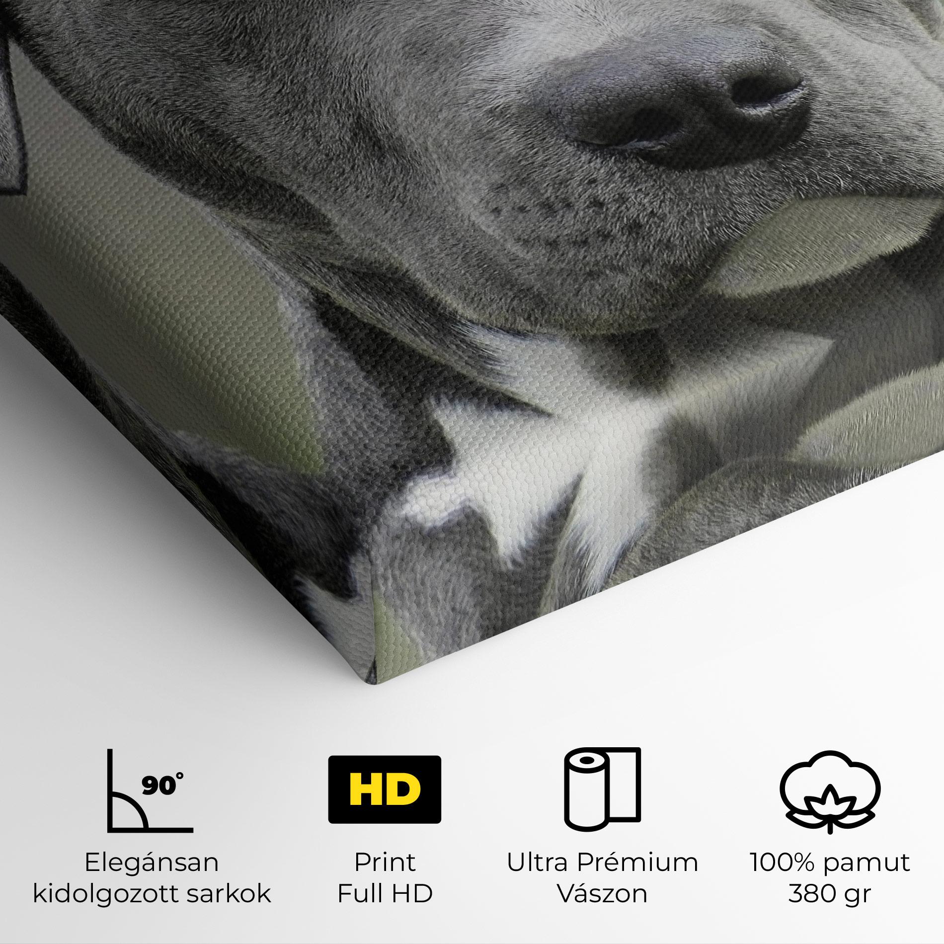 Vászonkép Blue Eyes Dog mockup 4