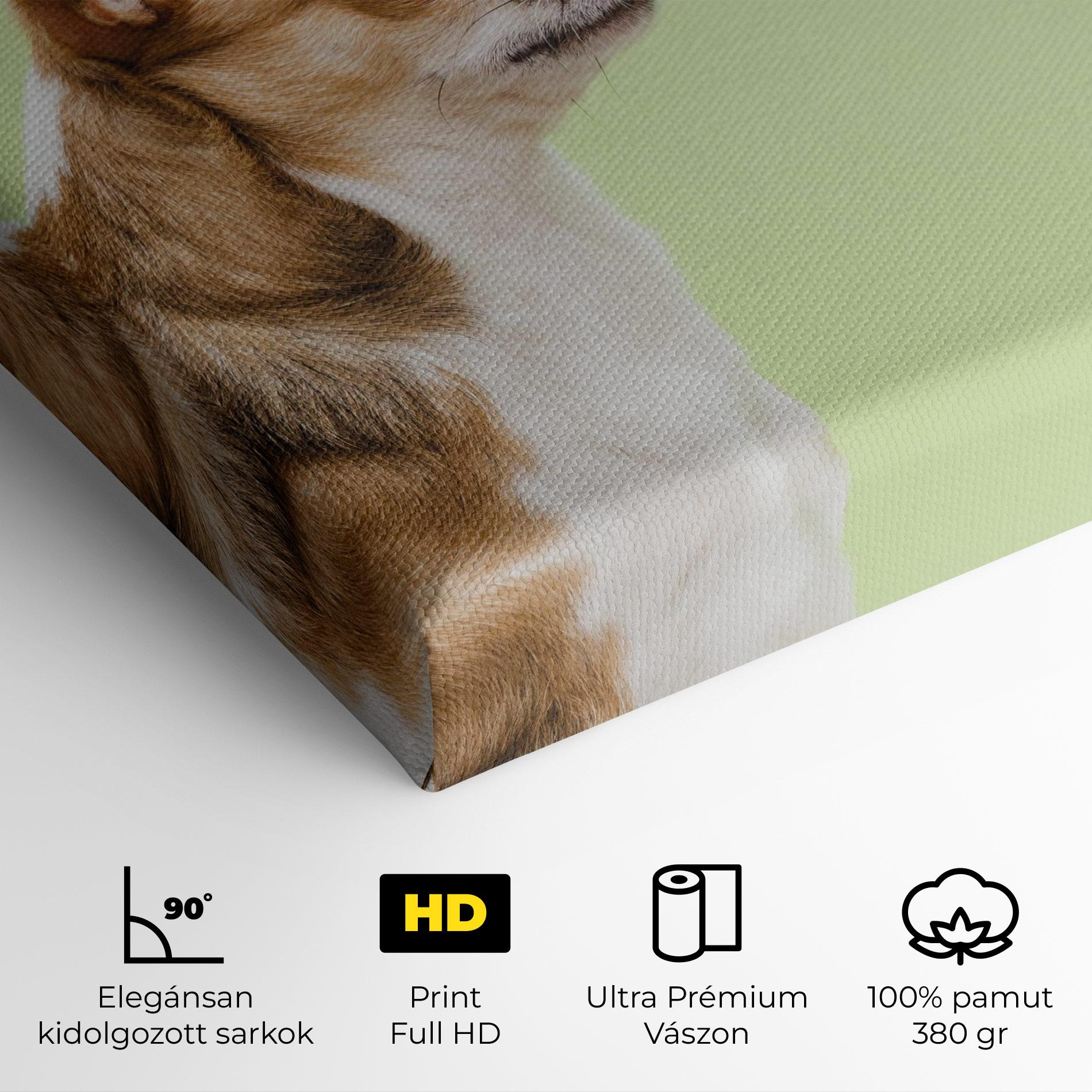Vászonkép Chihuahua Dog mockup 4