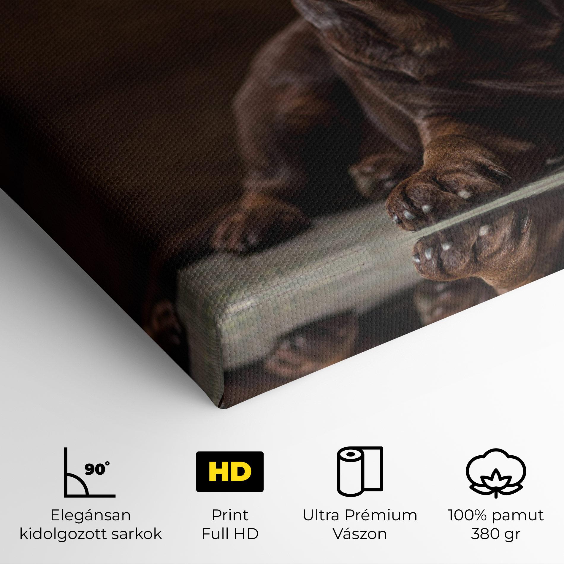 Vászonkép Cute Brown Labrador mockup 4