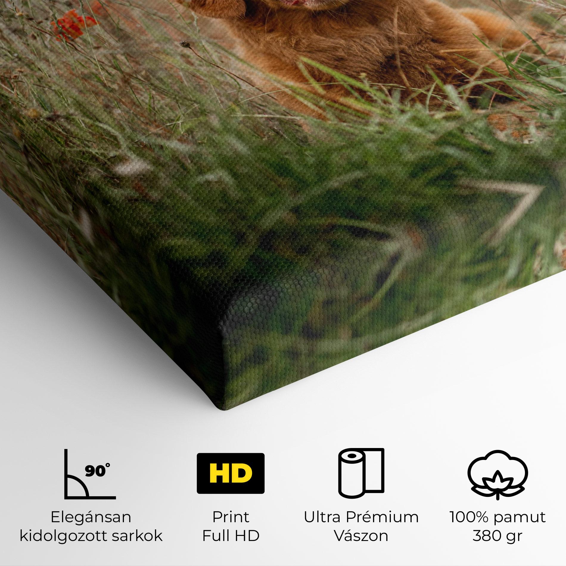 Vászonkép Red Flowers Dog mockup 4