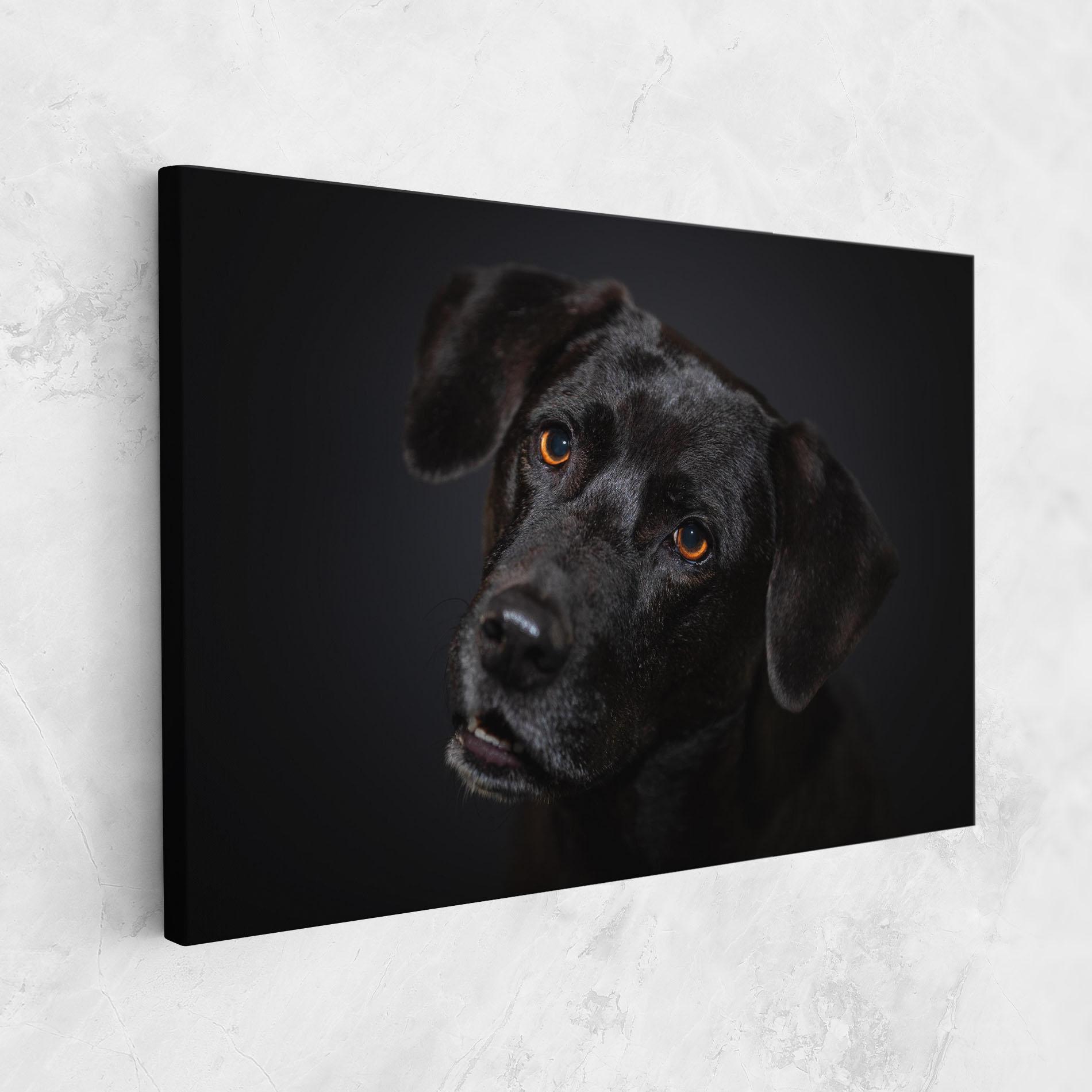Vászonkép Black Dog Portrait mockup 1