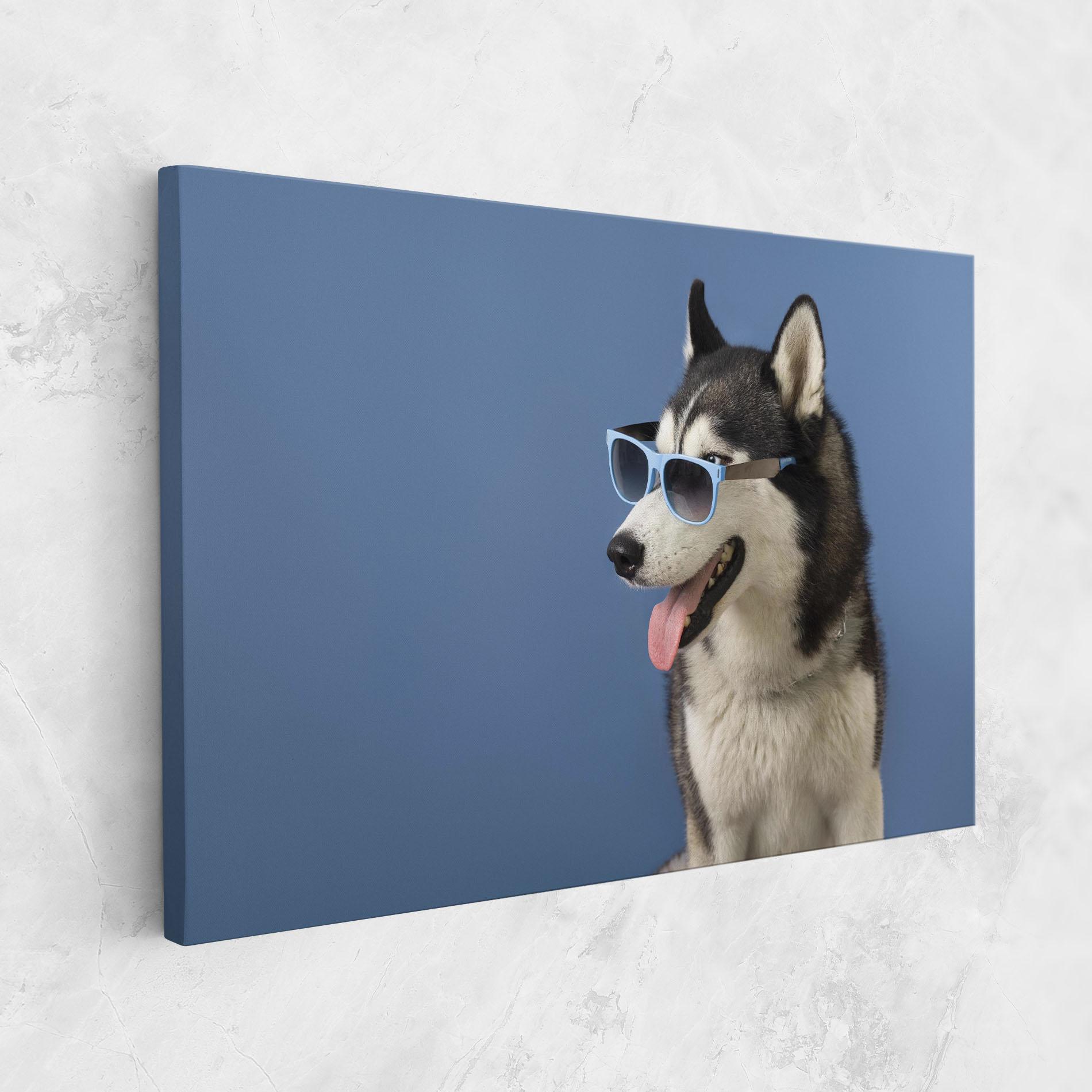 Vászonkép Blue Glasses Dog mockup 1