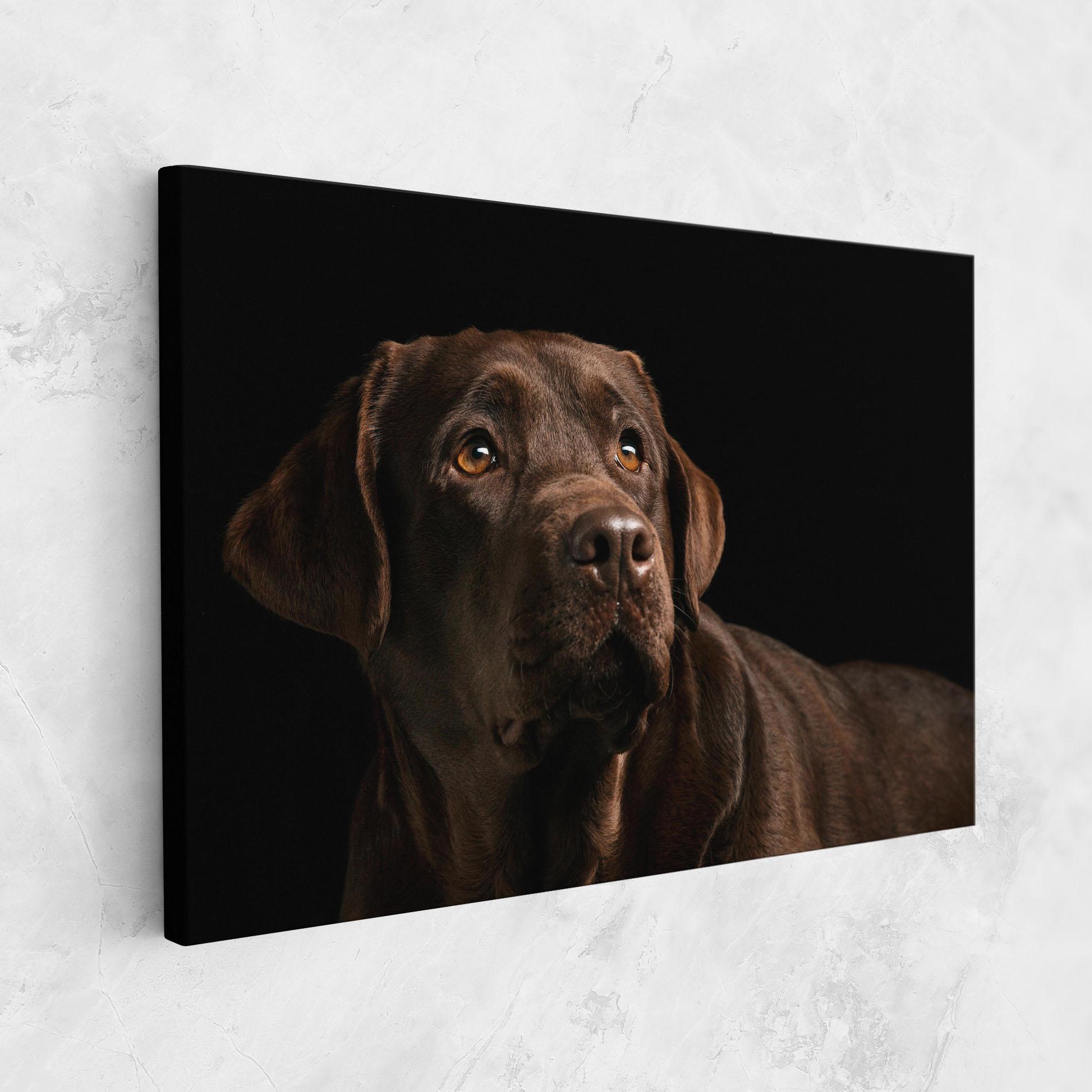 Vászonkép Brown Labrador mockup 1