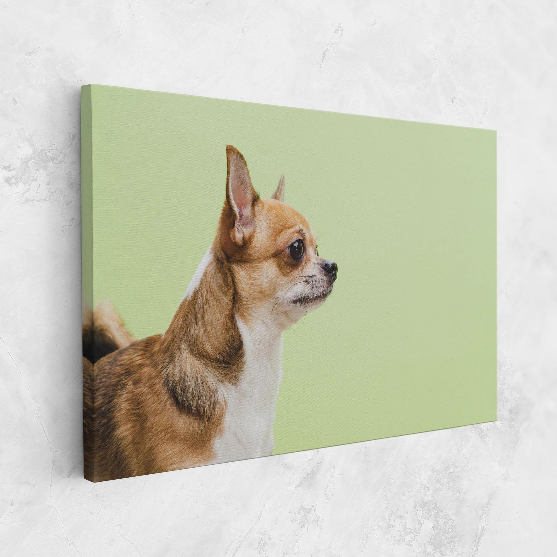 Vászonkép Chihuahua Dog mockup 1