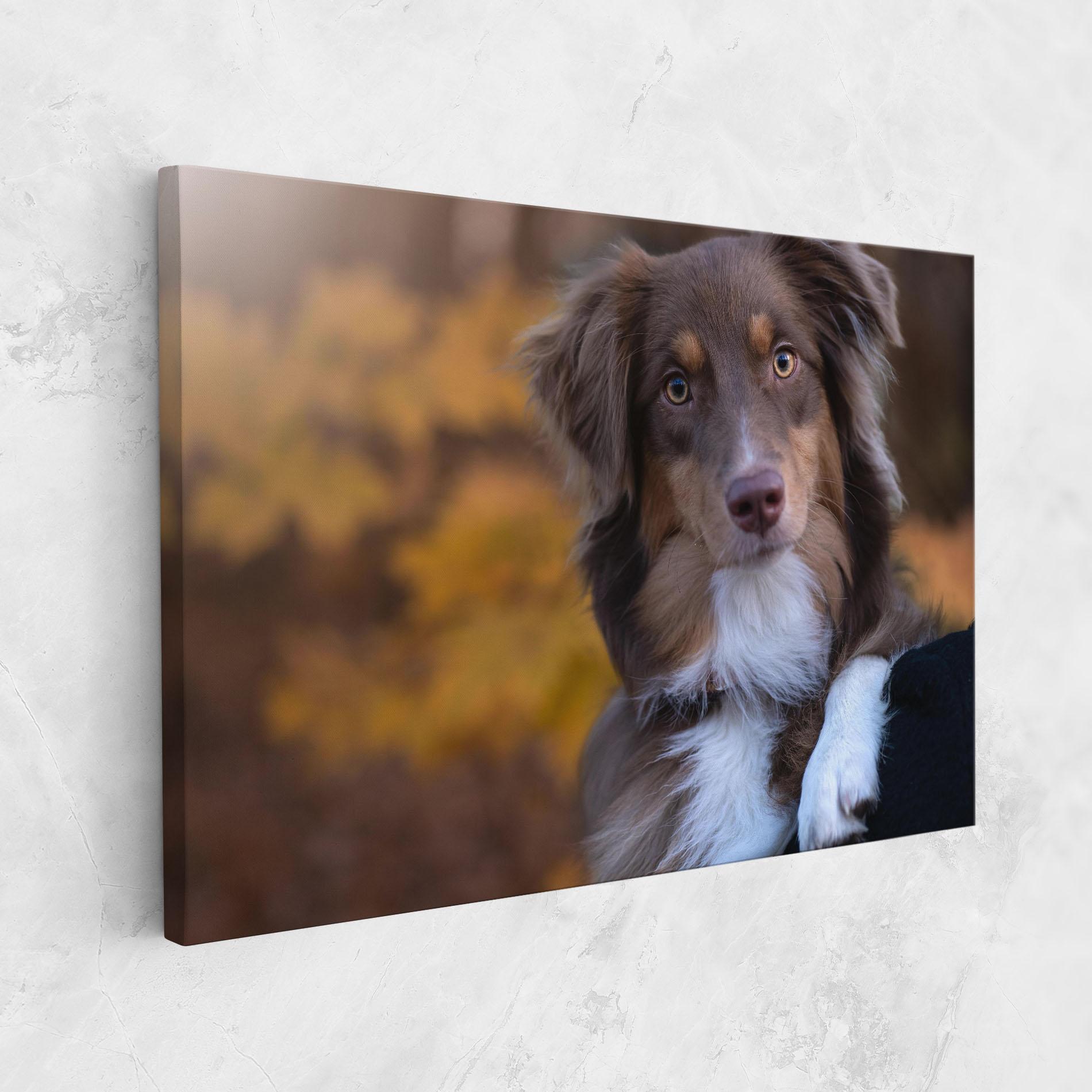 Vászonkép Coffee Brown Dog mockup 1