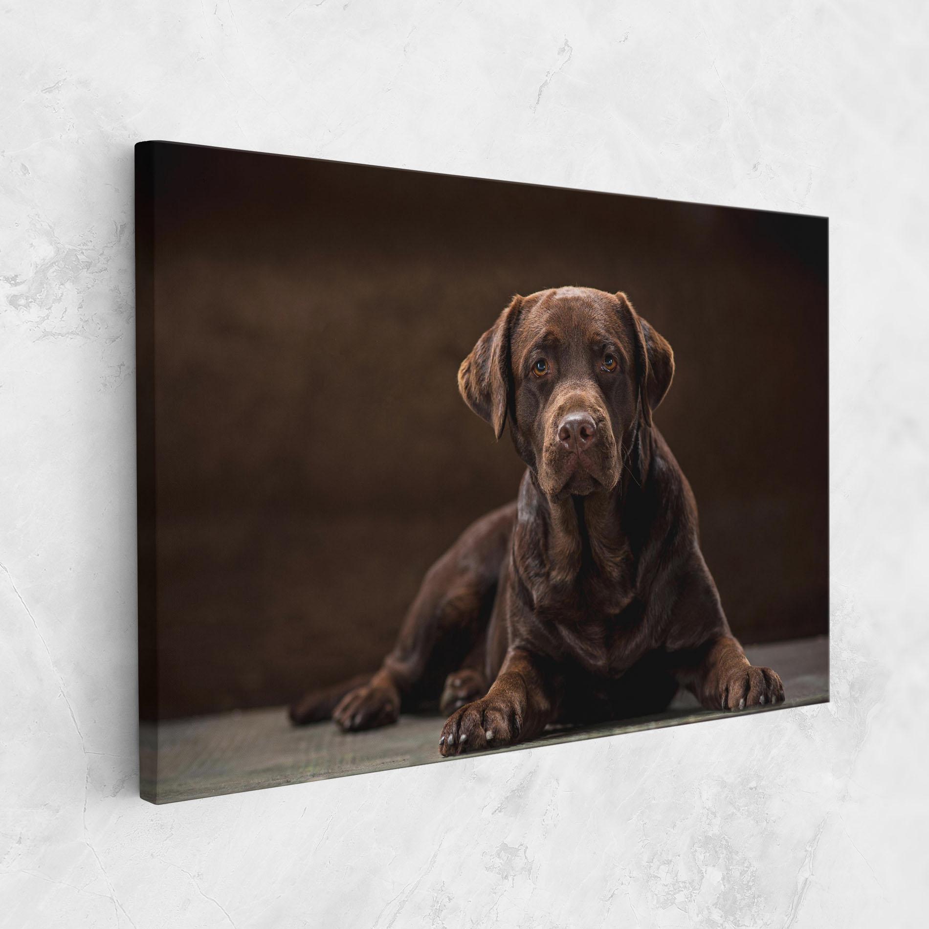 Vászonkép Cute Brown Labrador mockup 1