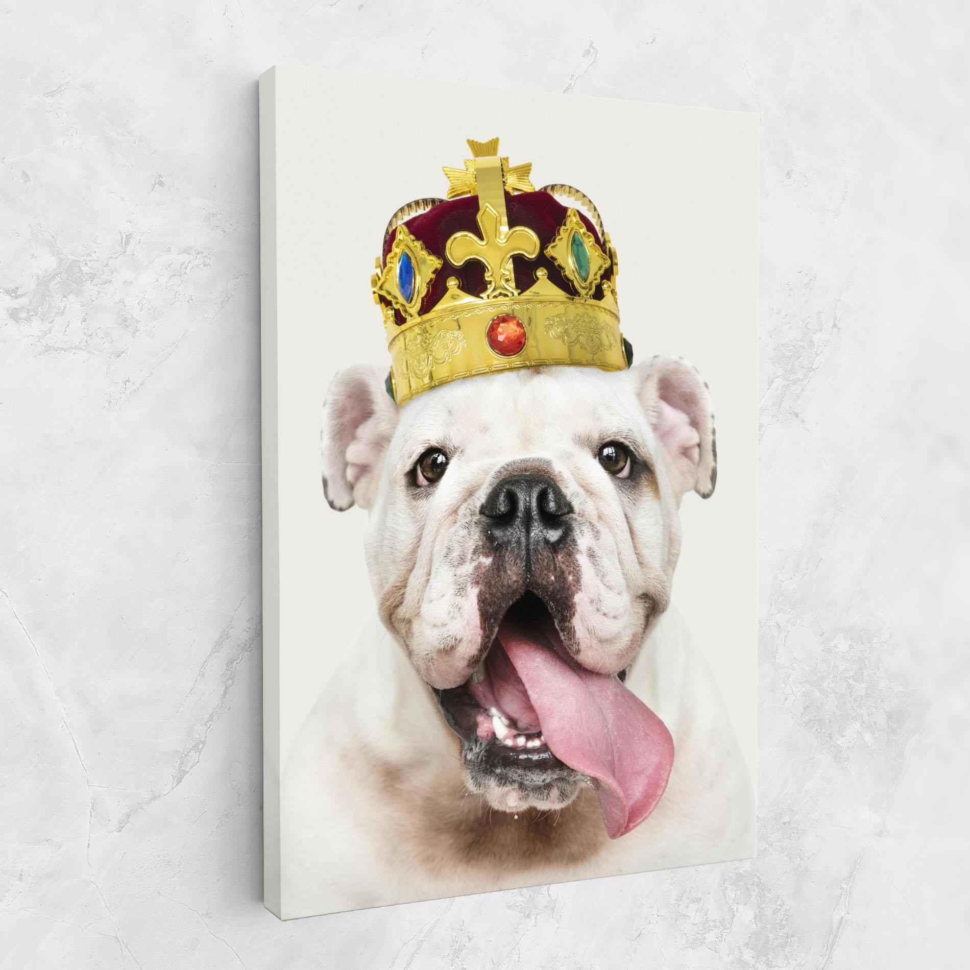 Vászonkép Bulldog Wearing Crown mockup 1