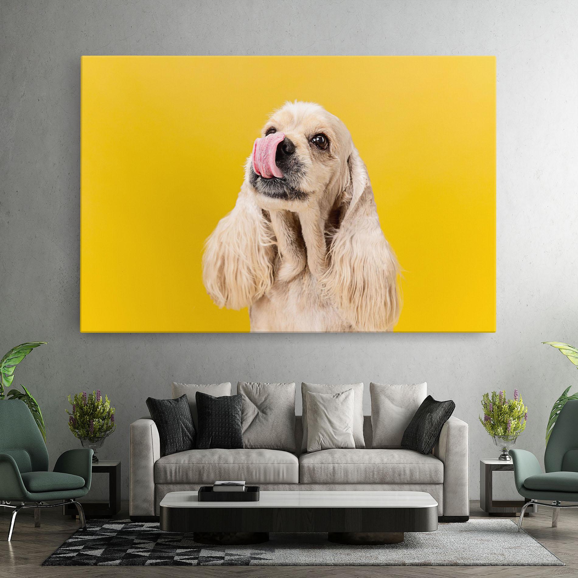 Vászonkép American Spaniel mockup 7