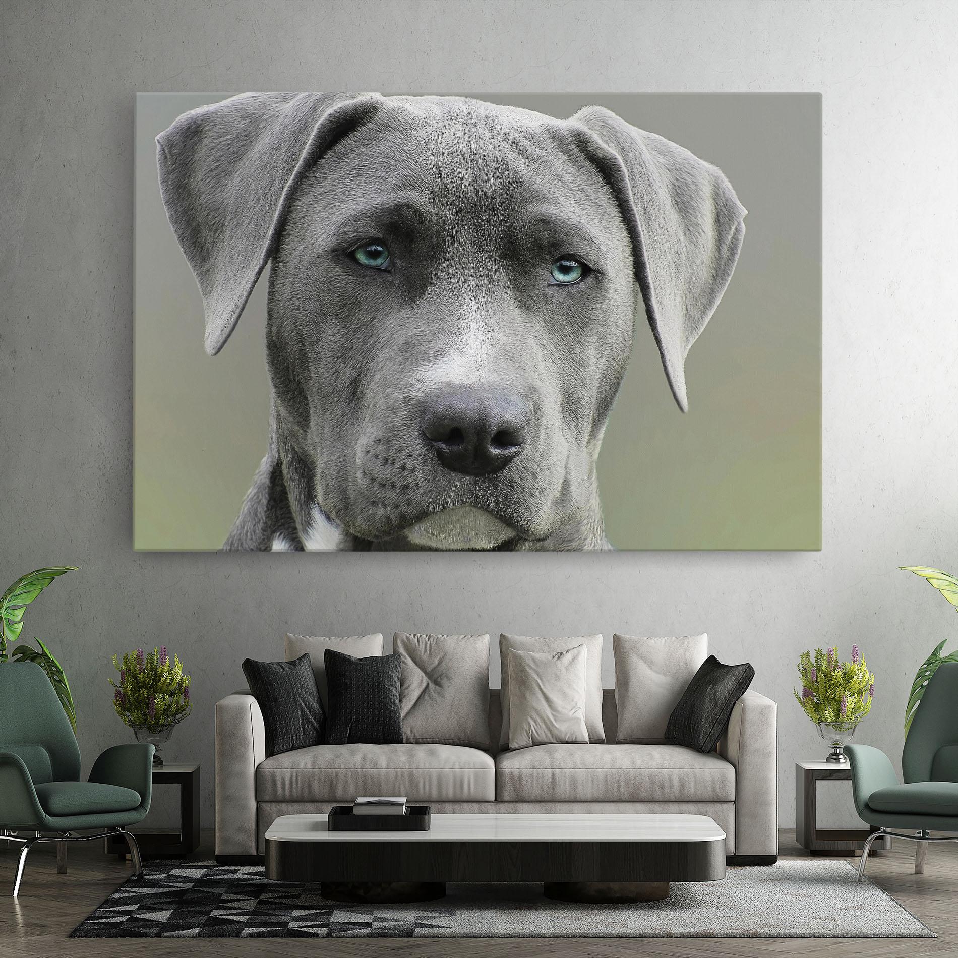Vászonkép Blue Eyes Dog mockup 7
