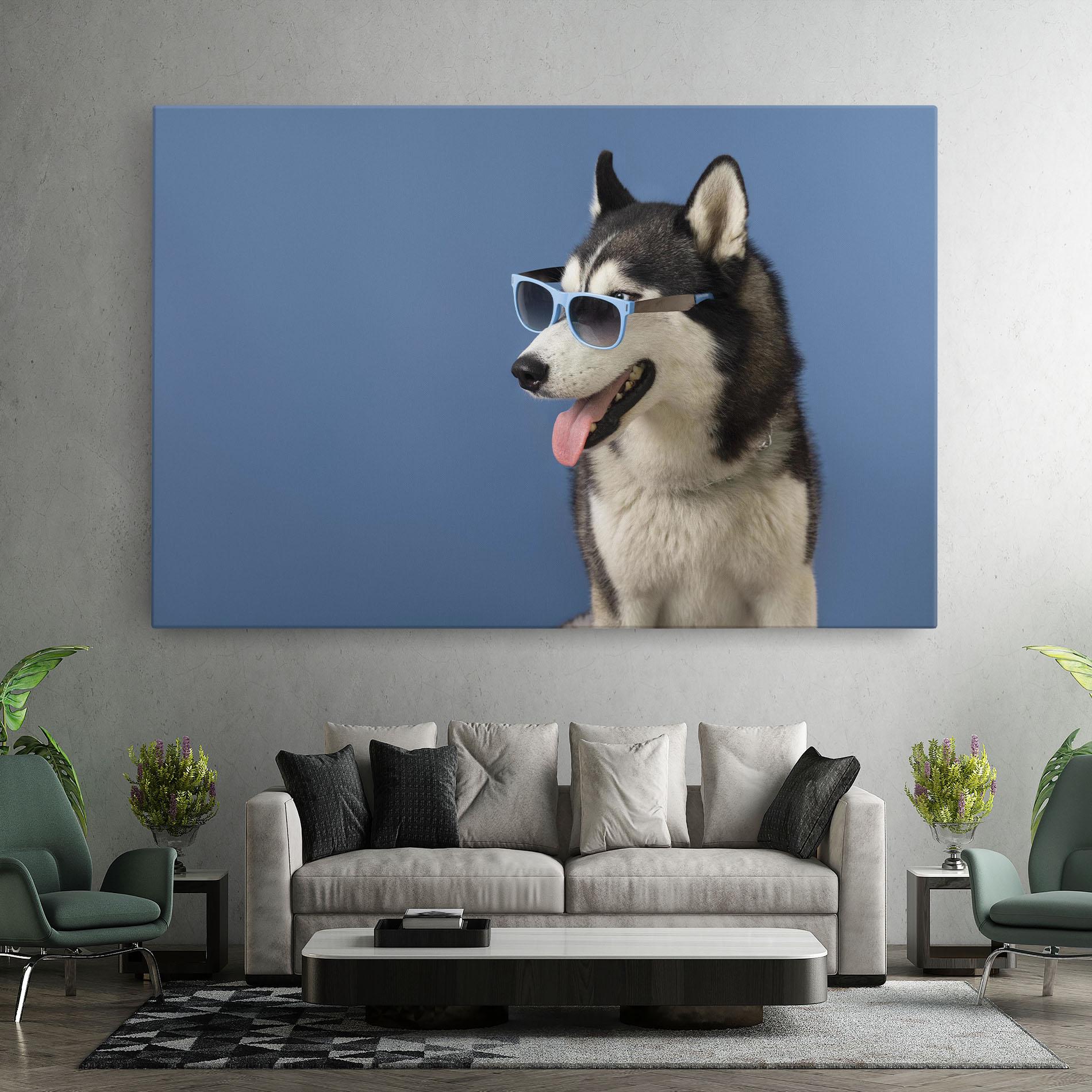 Vászonkép Blue Glasses Dog mockup 7