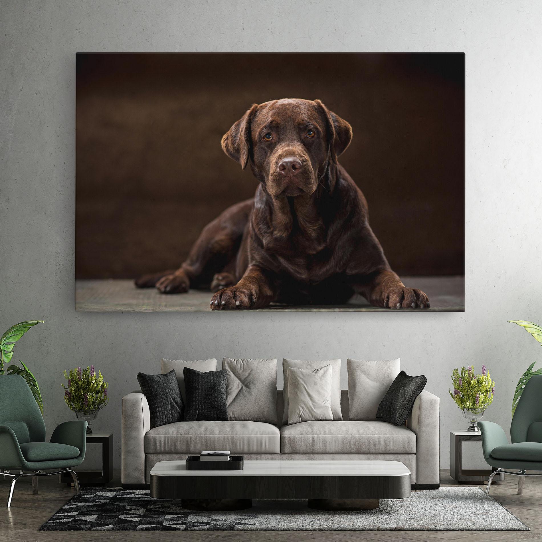 Vászonkép Cute Brown Labrador mockup 7