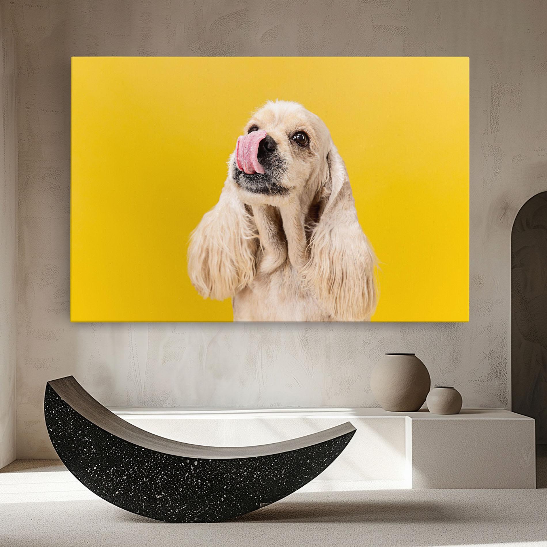 Vászonkép American Spaniel mockup 8