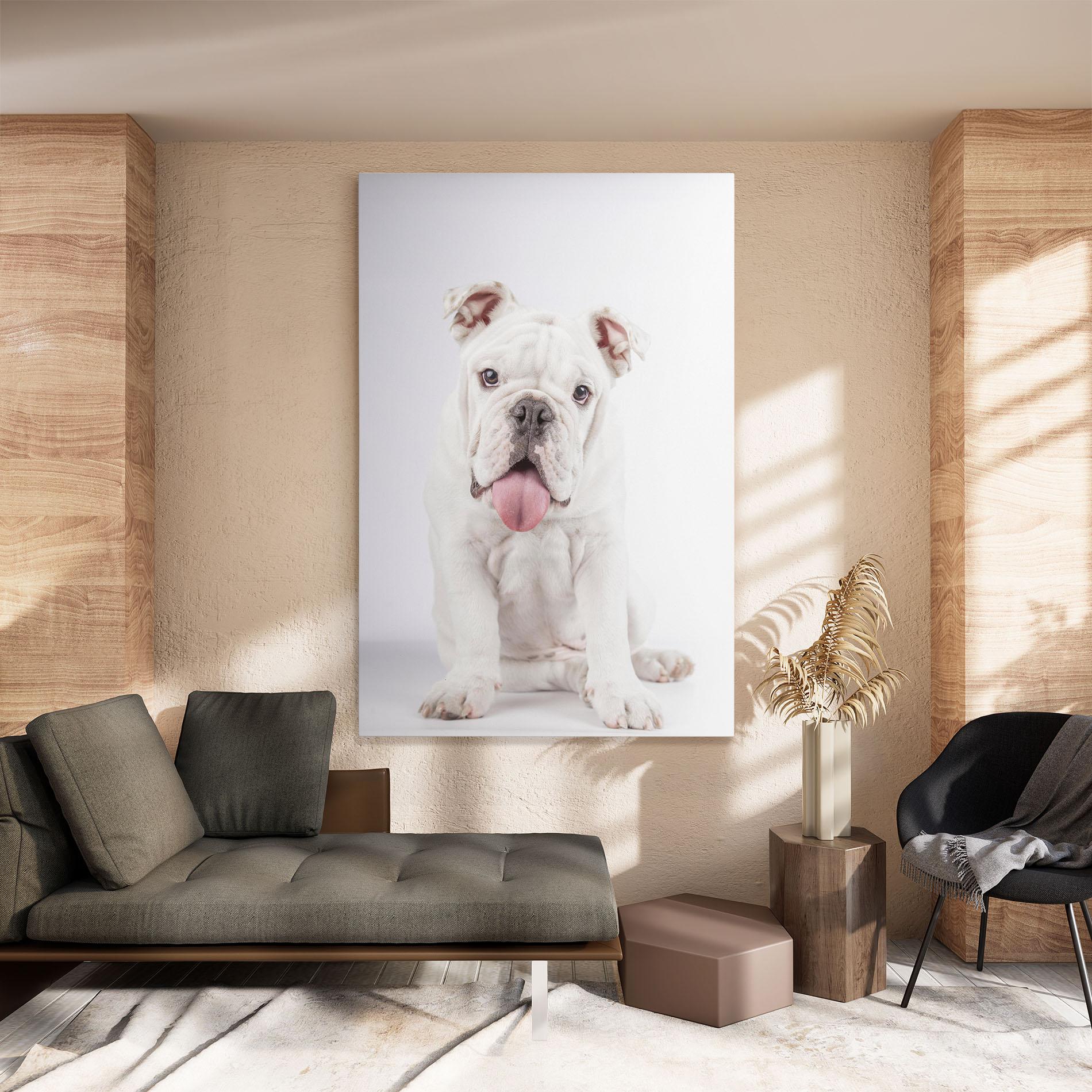 Vászonkép English Bulldog mockup 8