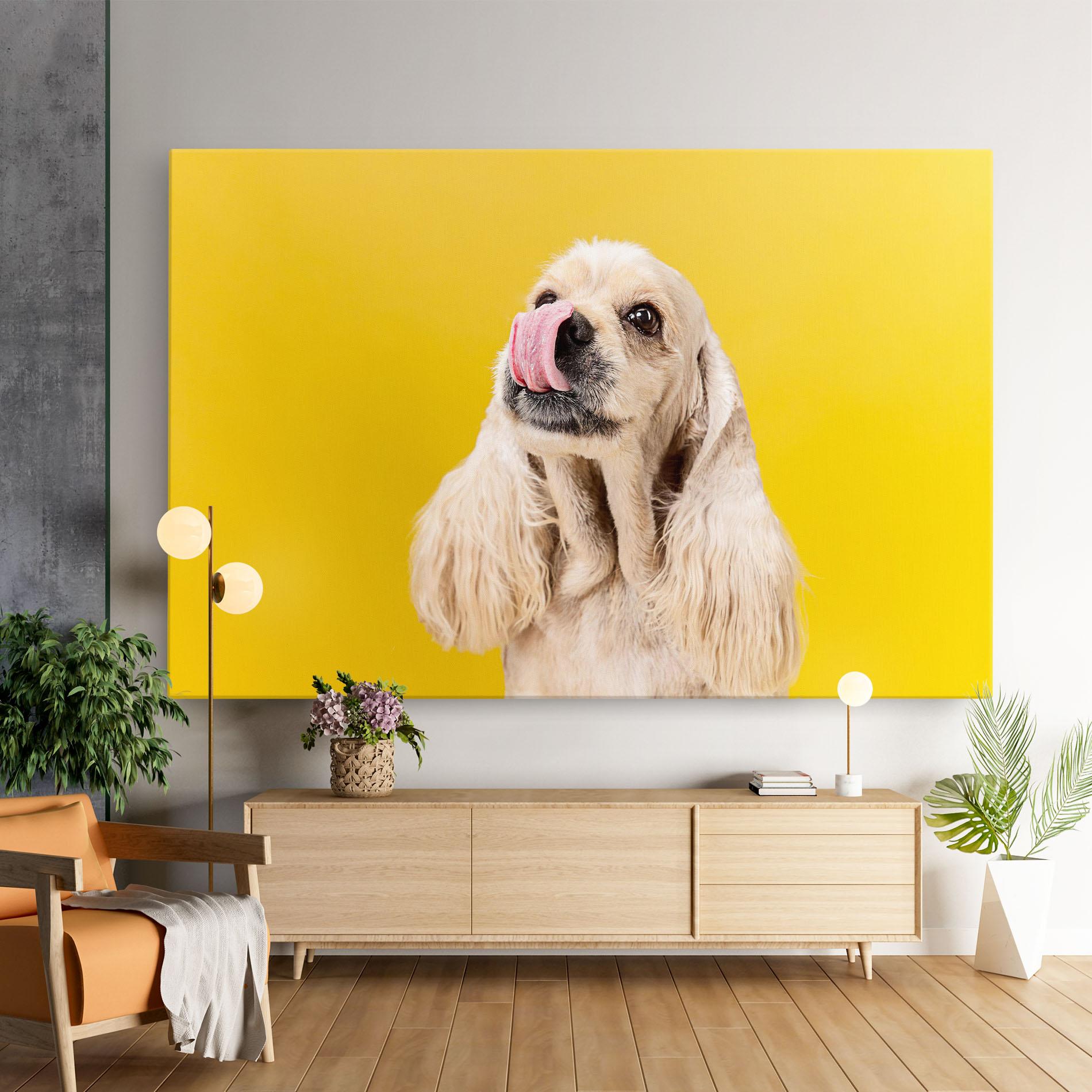 Vászonkép American Spaniel mockup 9