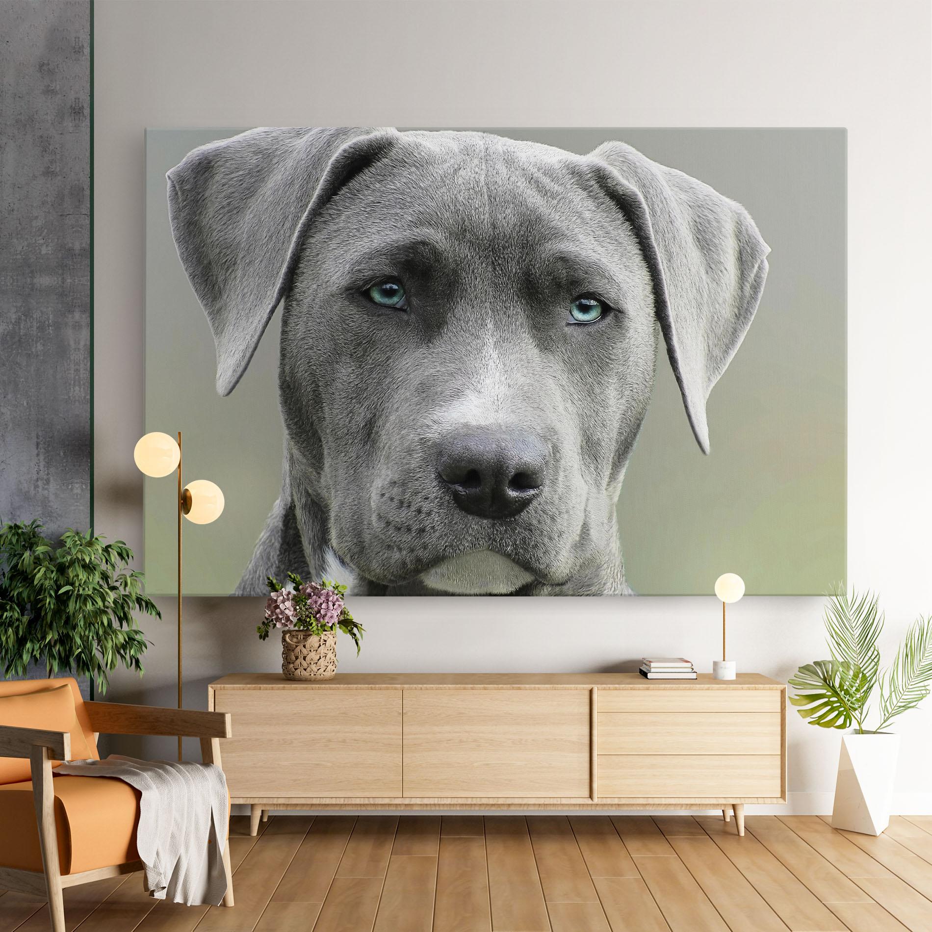 Vászonkép Blue Eyes Dog mockup 9