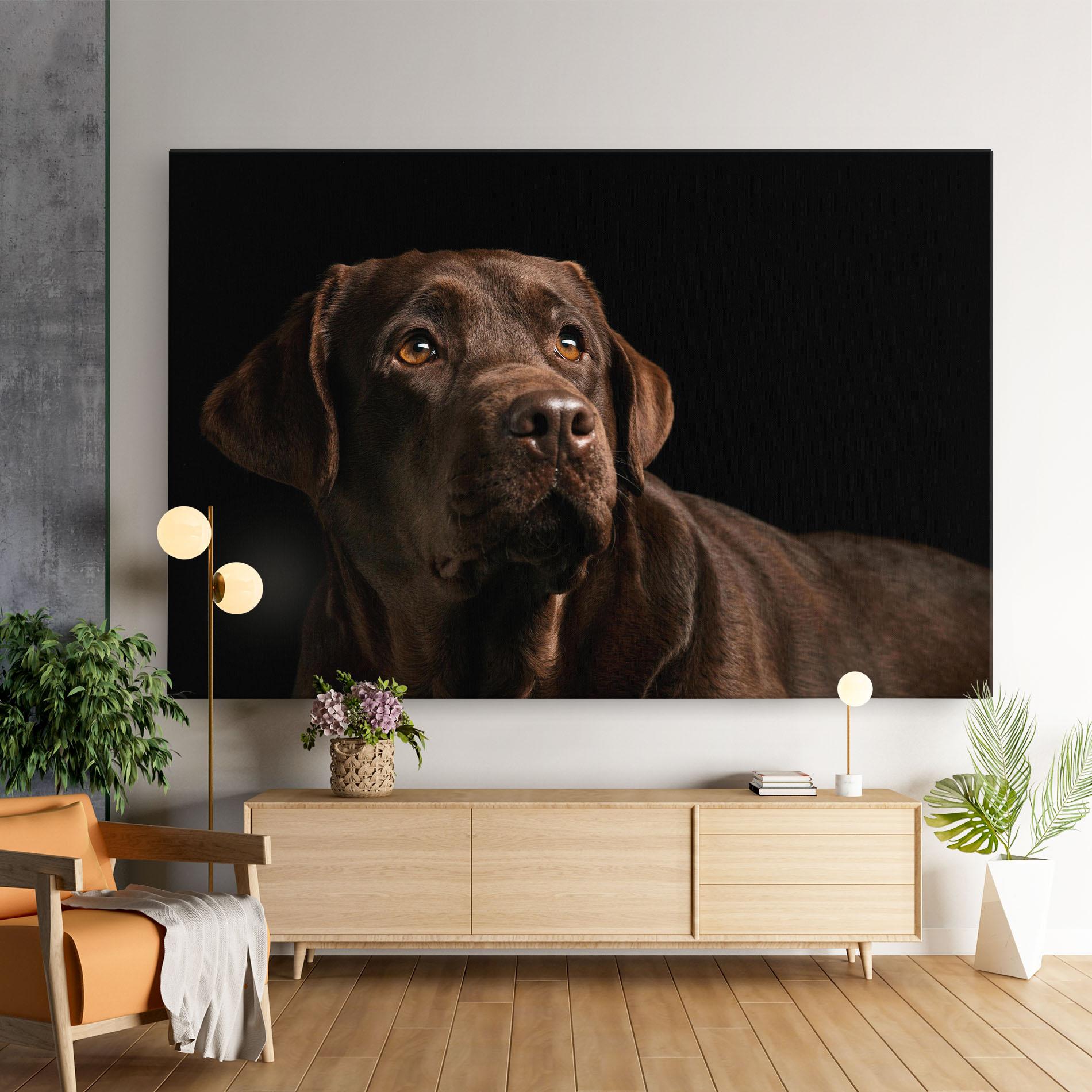 Vászonkép Brown Labrador mockup 9