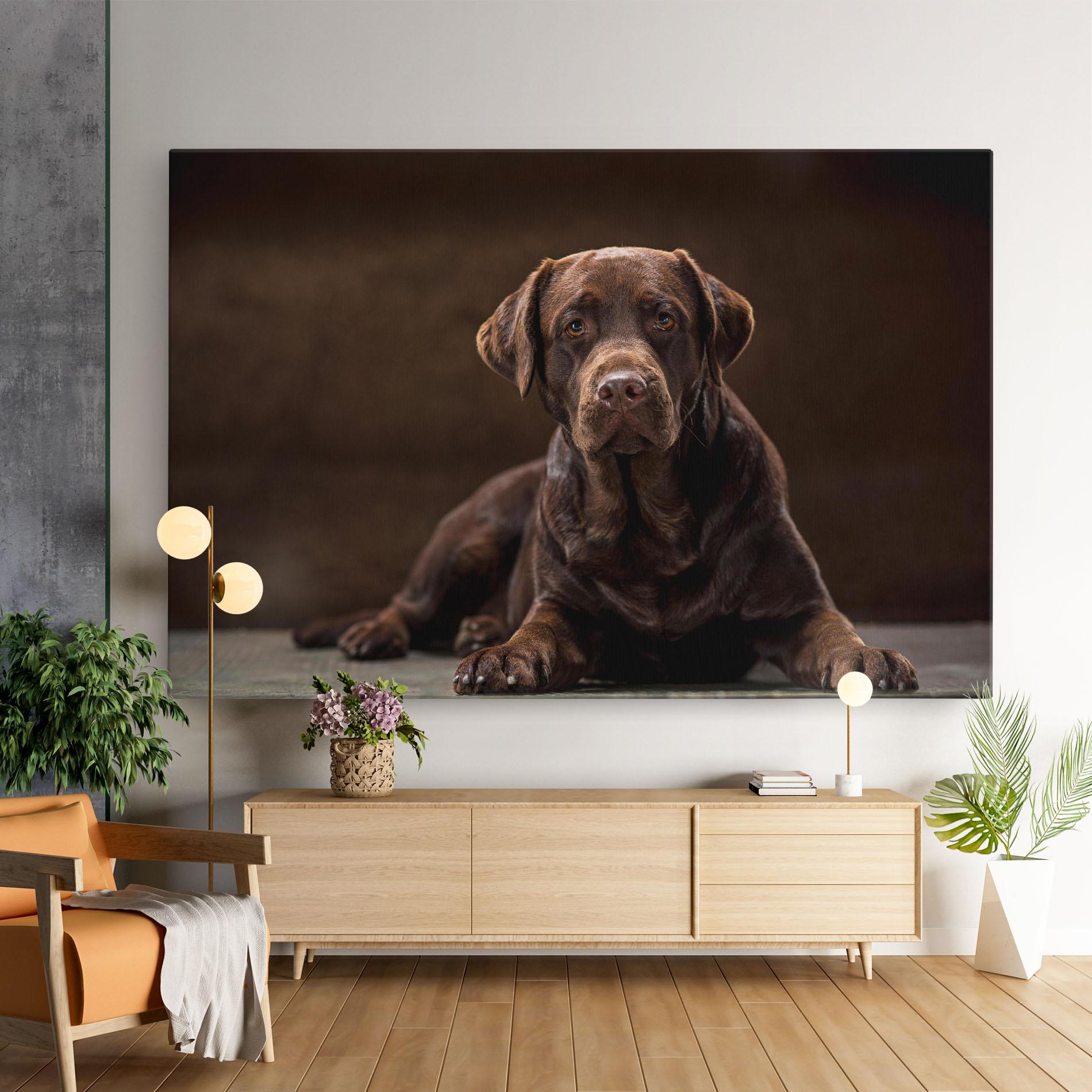 Vászonkép Cute Brown Labrador mockup 9