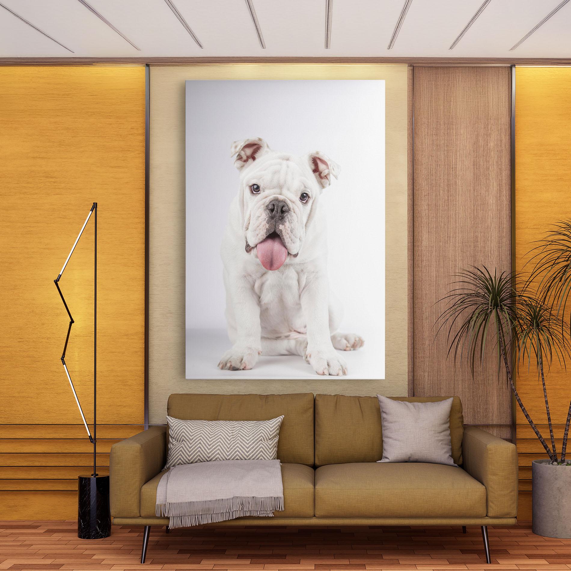 Vászonkép English Bulldog mockup 9