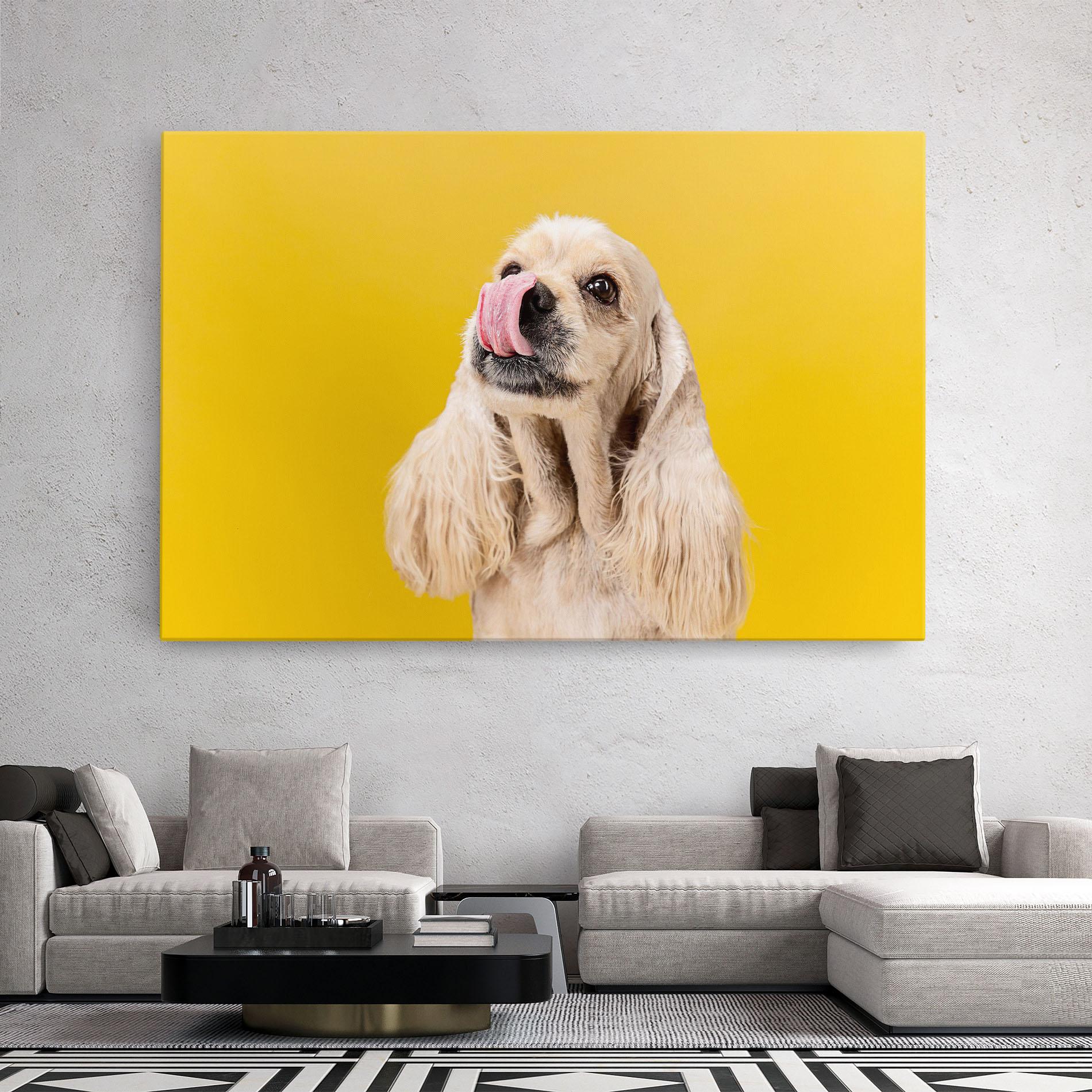 Vászonkép American Spaniel mockup 2