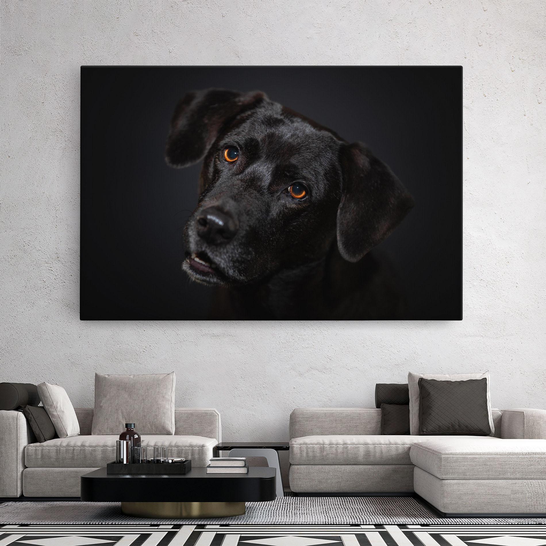 Vászonkép Black Dog Portrait mockup 2