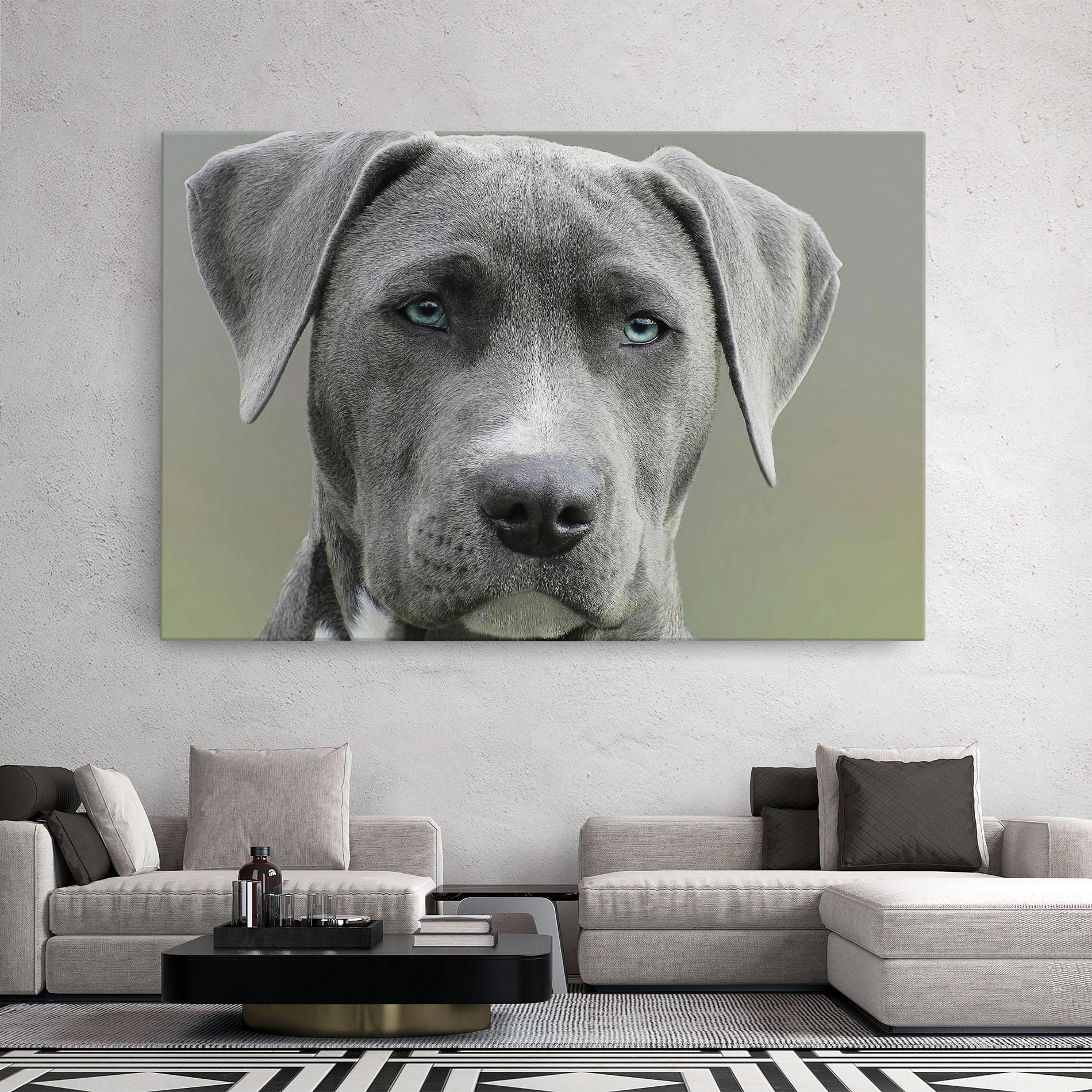Vászonkép Blue Eyes Dog mockup 2