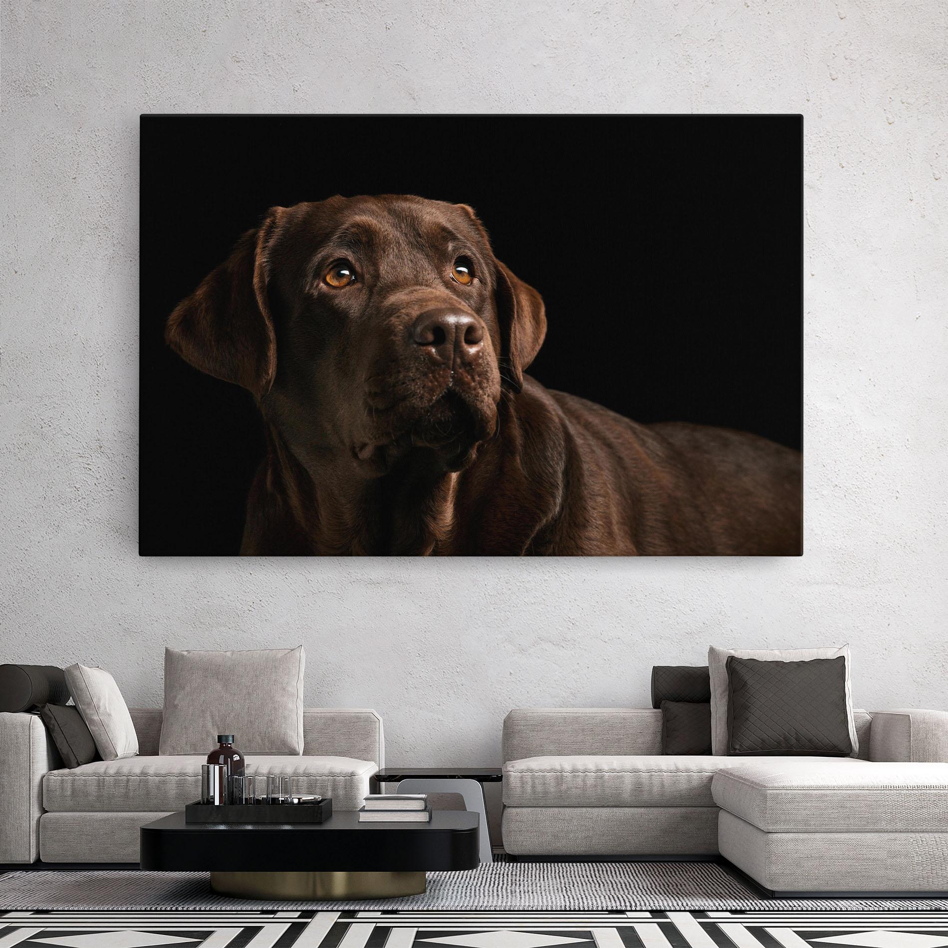 Vászonkép Brown Labrador mockup 2