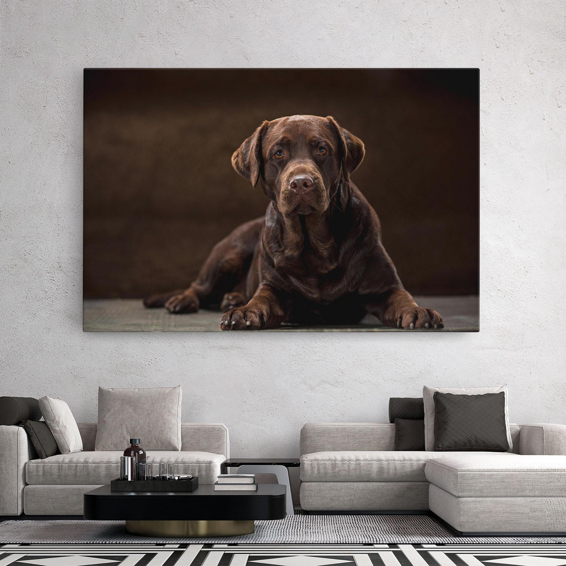 Vászonkép Cute Brown Labrador mockup 2