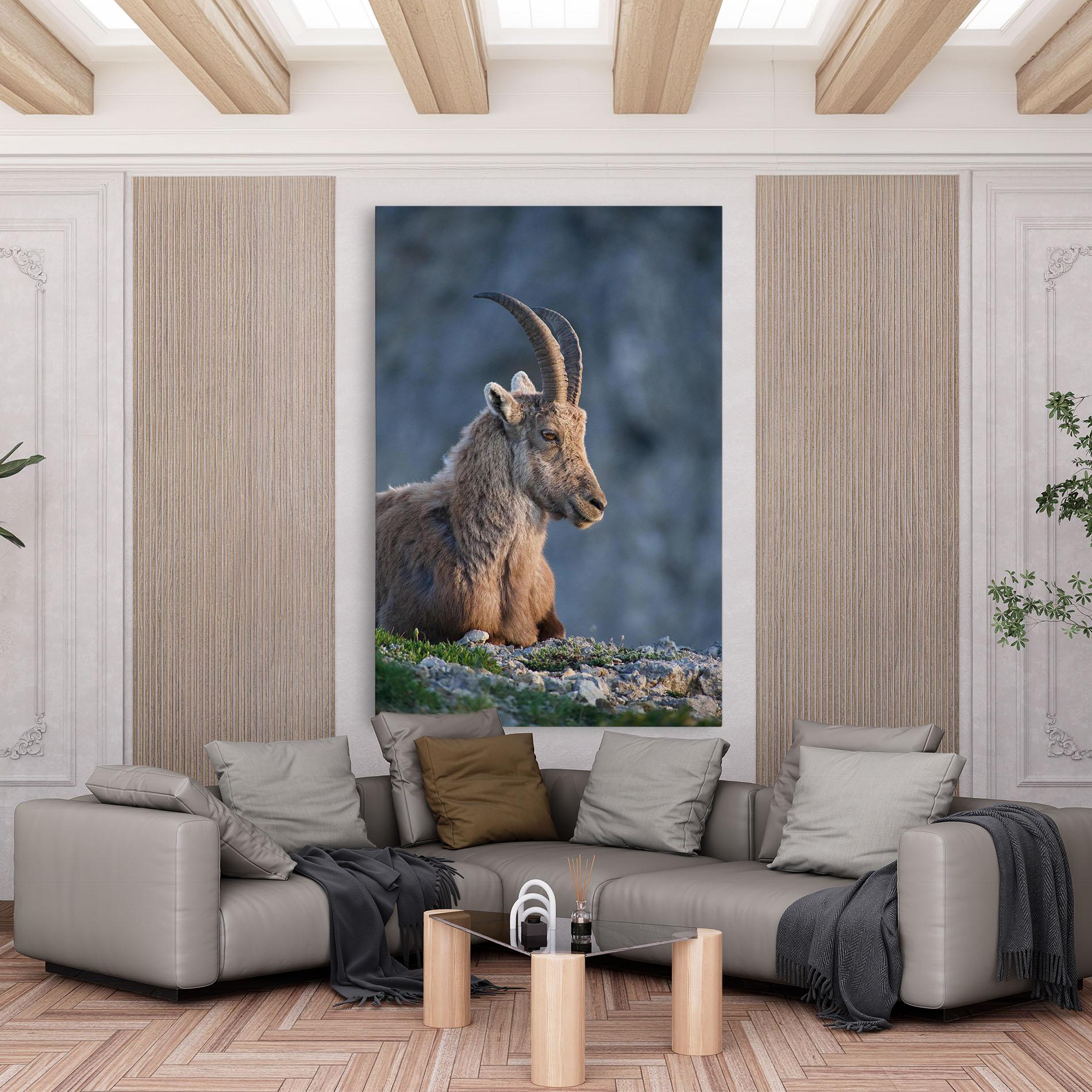 Vászonkép Mountain Goat mockup 6